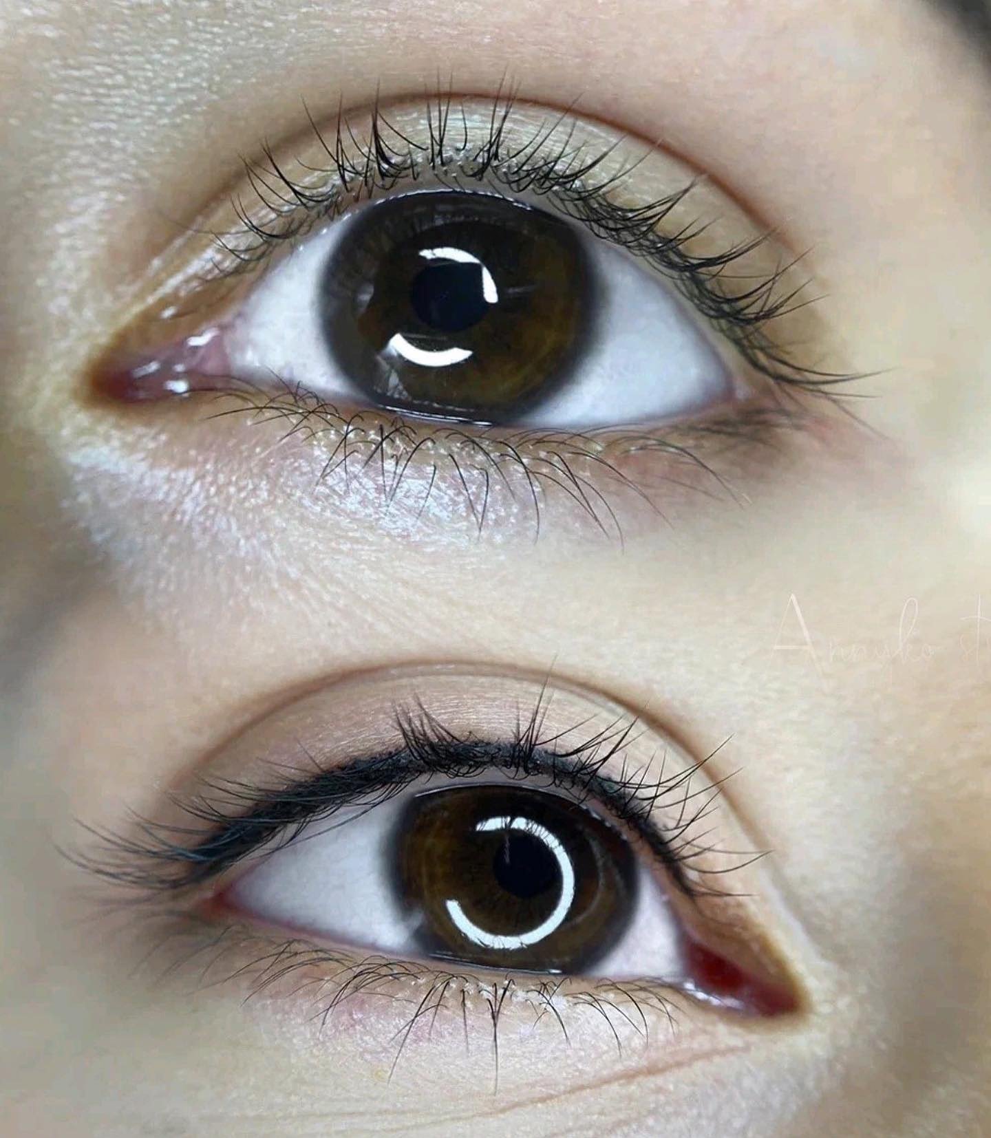 The Elegance of Lash Enhancement