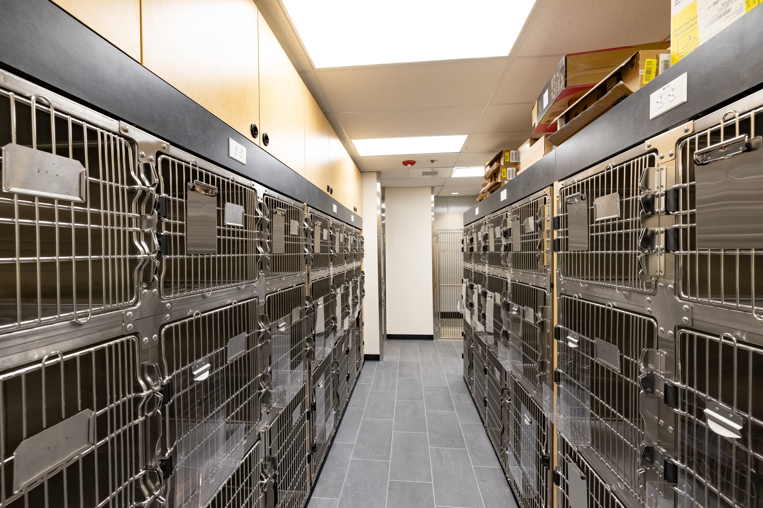 016_Banfield CHC 2021.jpg