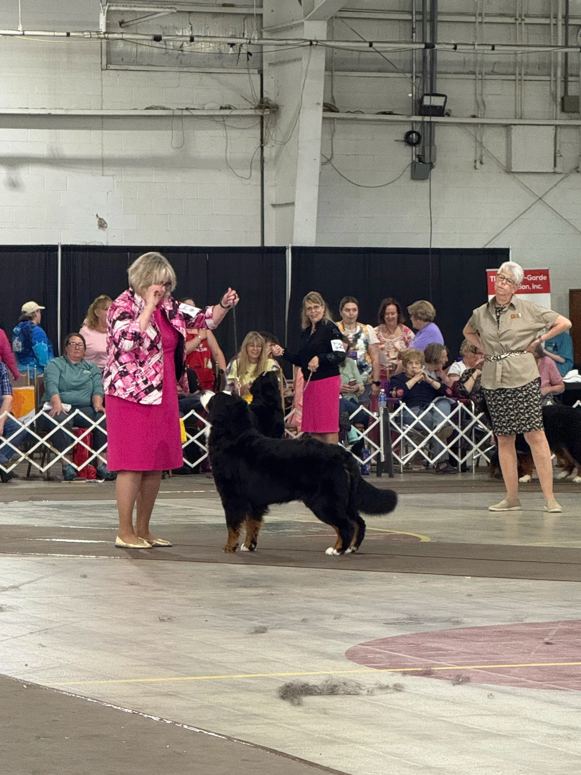 Dawn & Ava - National Specialty 2025