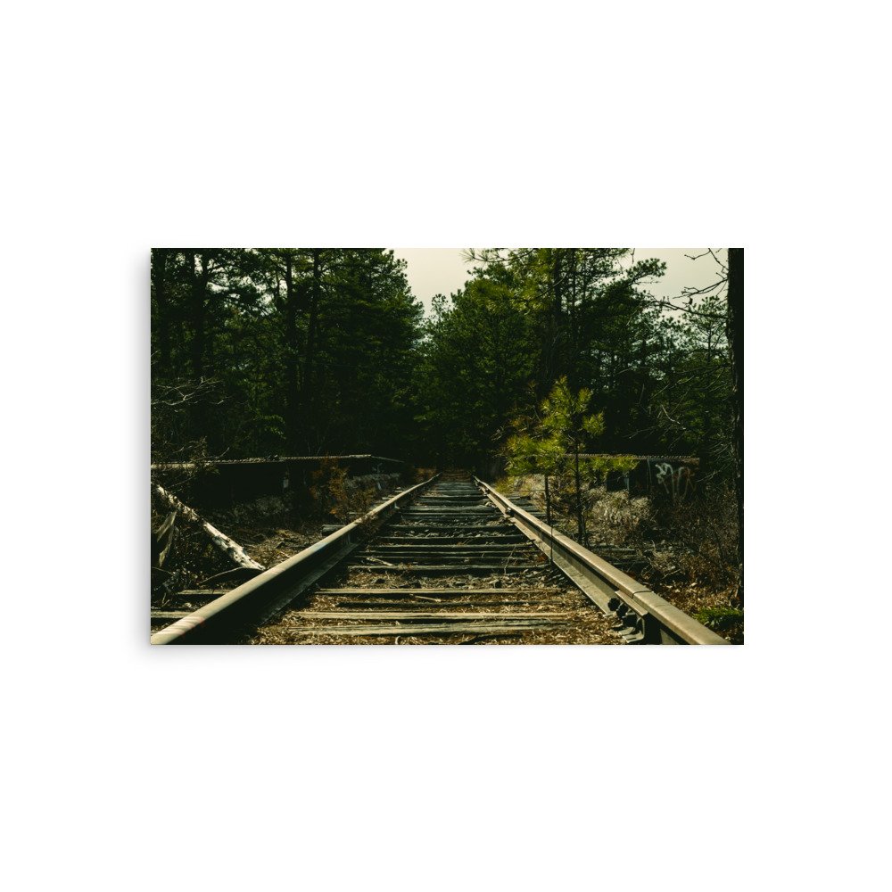 enhanced-matte-paper-poster-(in)-20x30-front-67a4416a67631.jpg
