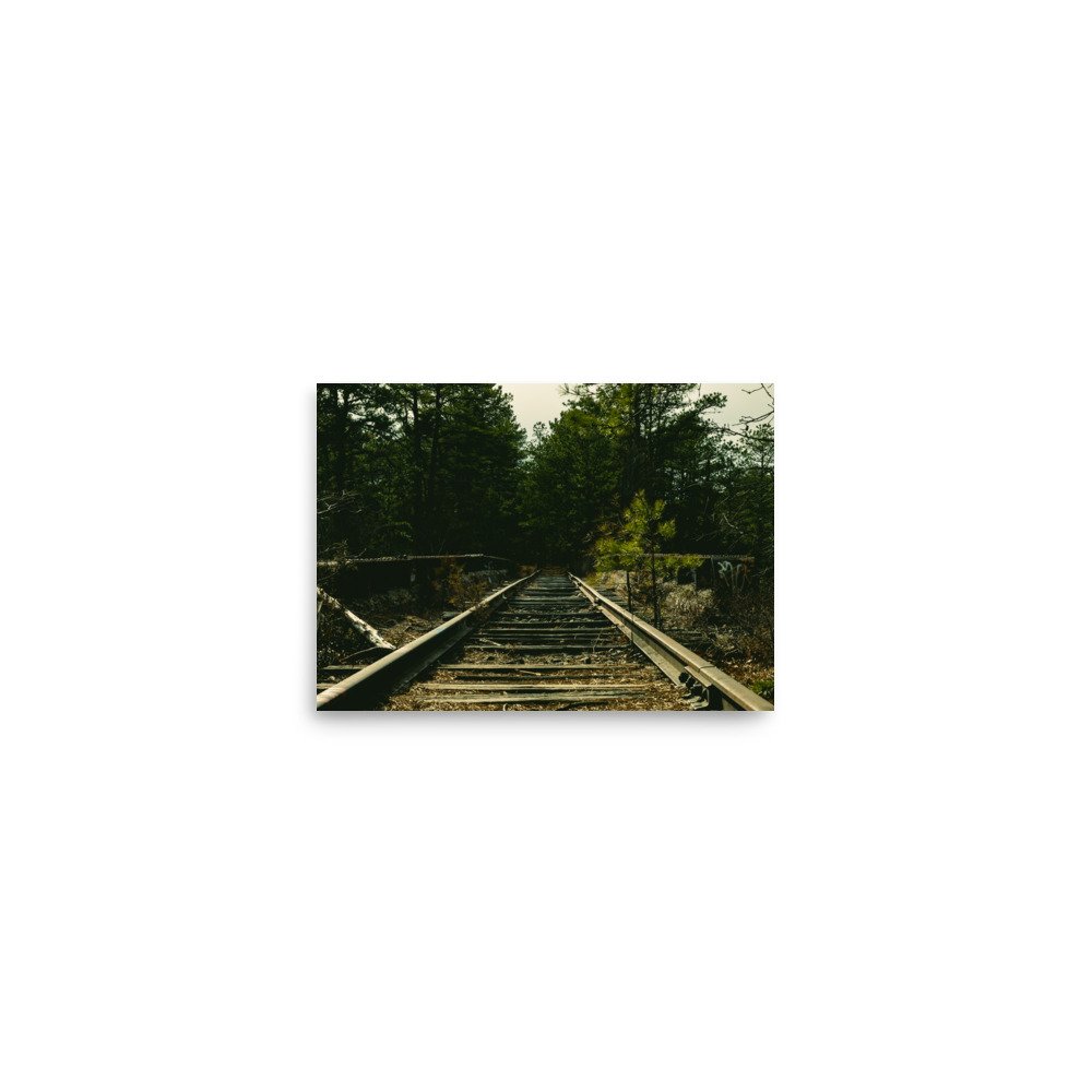 enhanced-matte-paper-poster-(in)-5x7-front-67a4416a67def.jpg