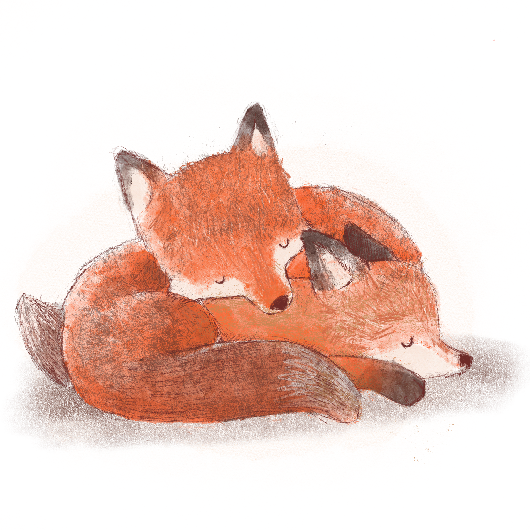 Sleeping foxes illustration, fox illustration, kidlit art