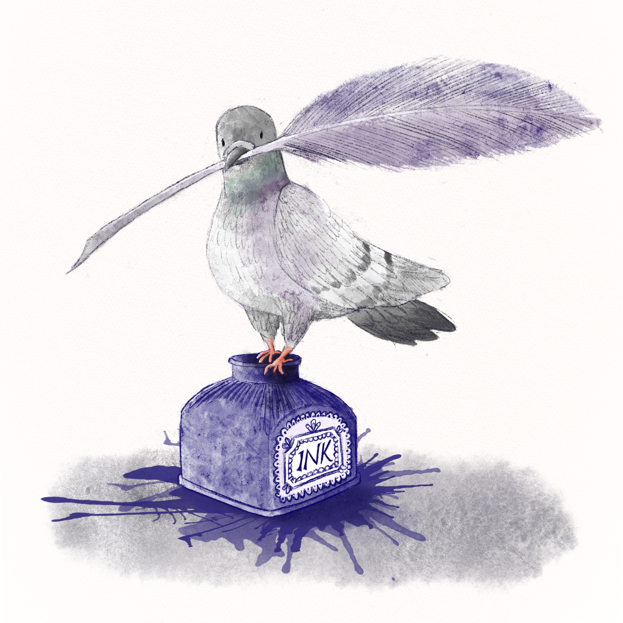 Pigeon Post, ink and quill, pigeon illustration, 