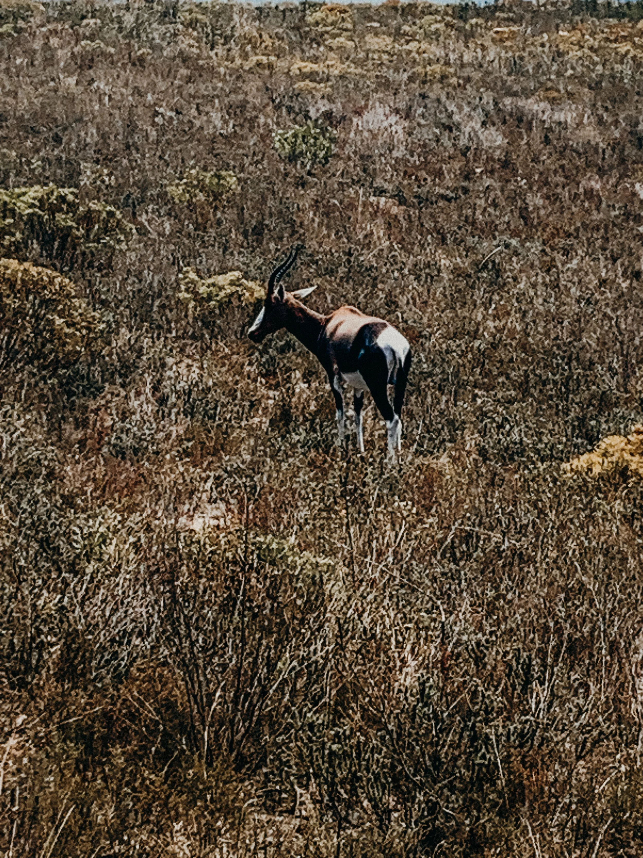 yogakasha-impressionen-edited-by-anne caspar-645.jpg