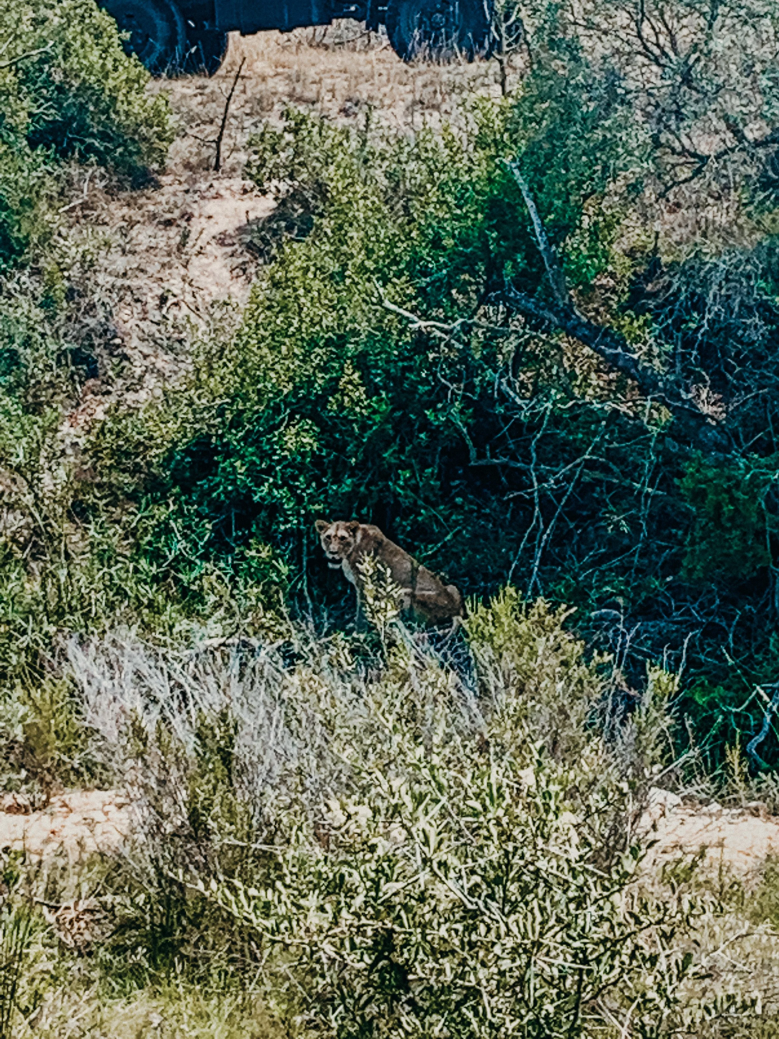 yogakasha-impressionen-edited-by-anne caspar-628.jpg