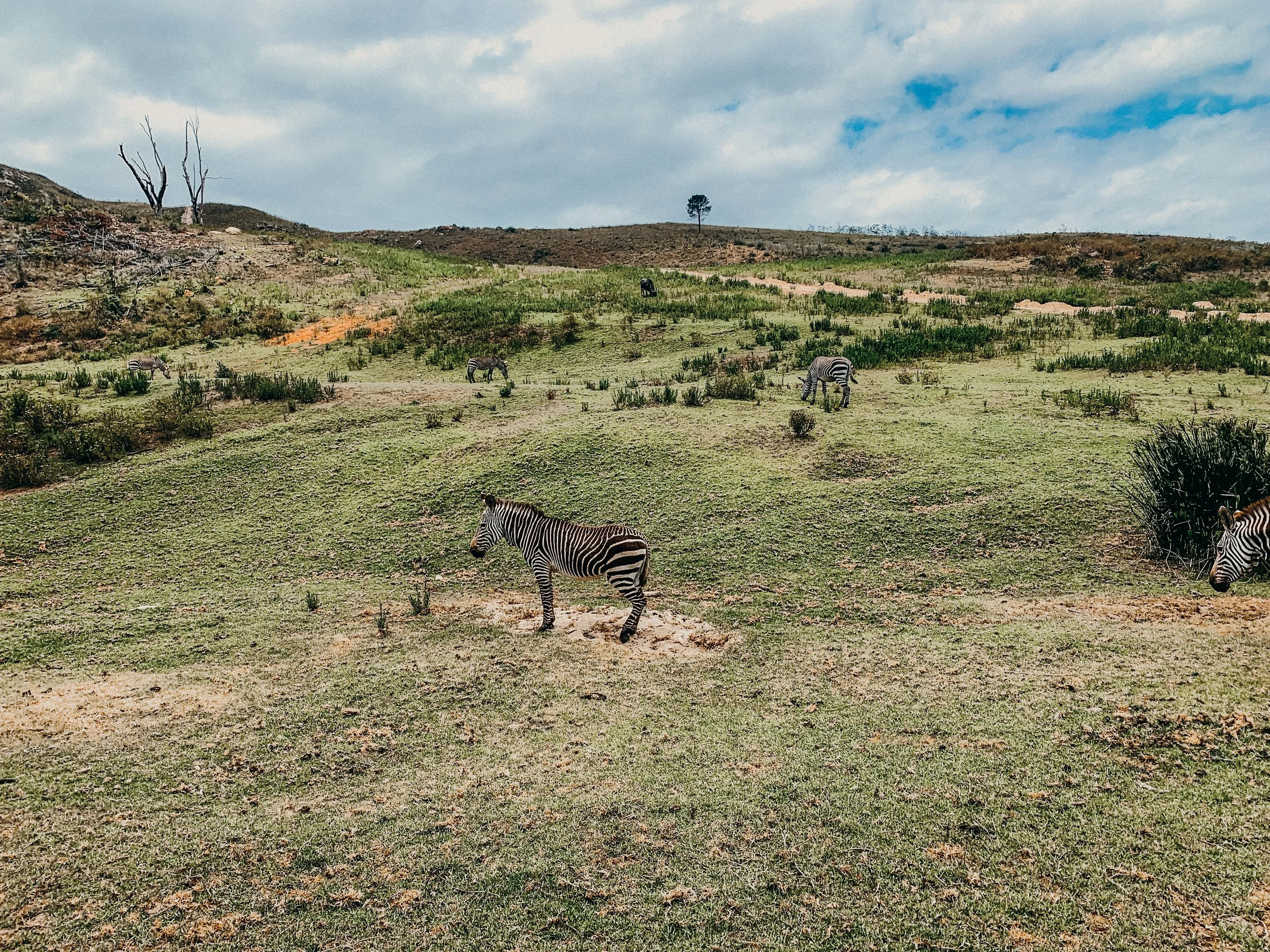 yogakasha-impressionen-edited-by-anne caspar-654.jpg