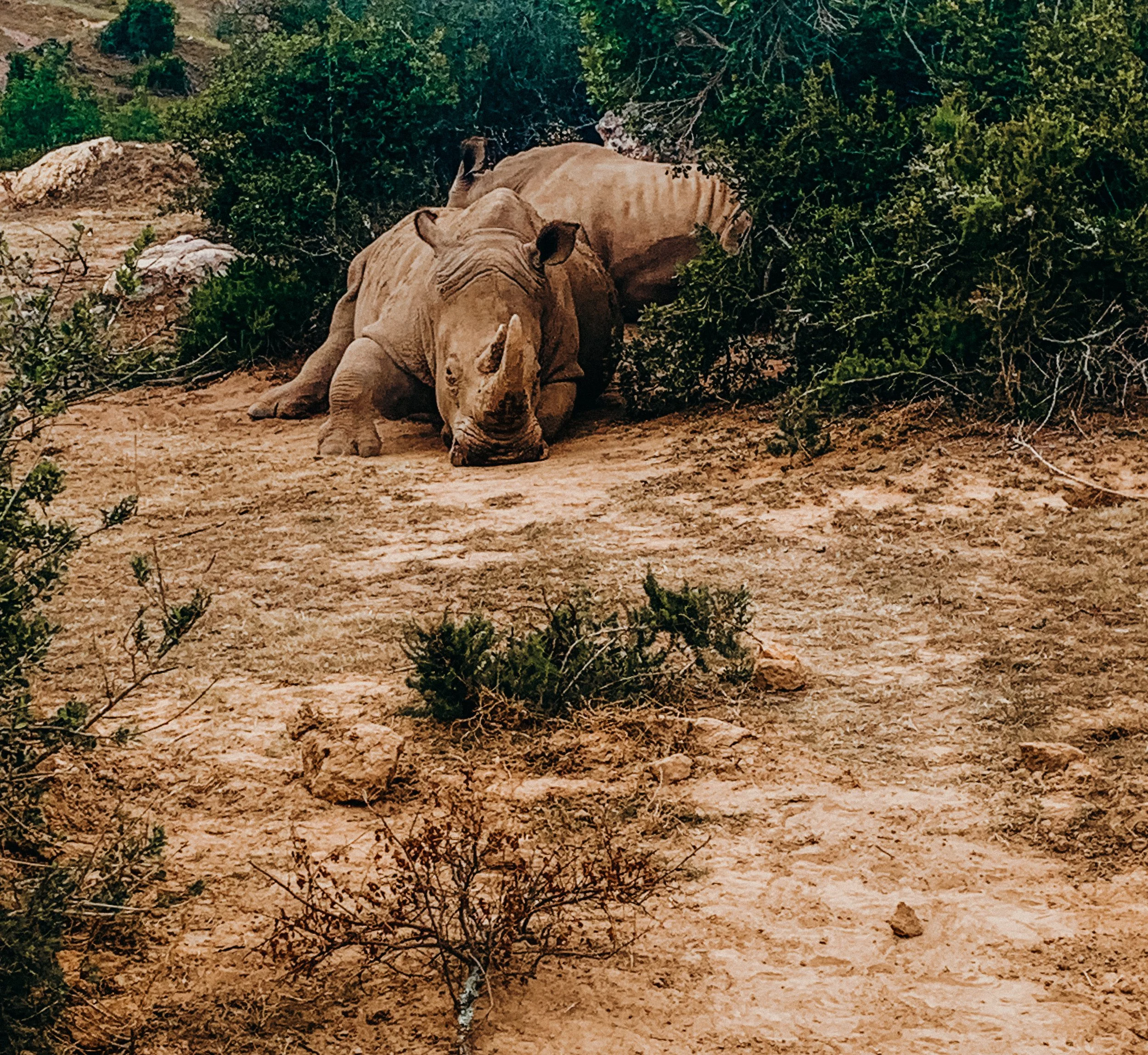 yogakasha-impressionen-edited-by-anne caspar-623.jpg