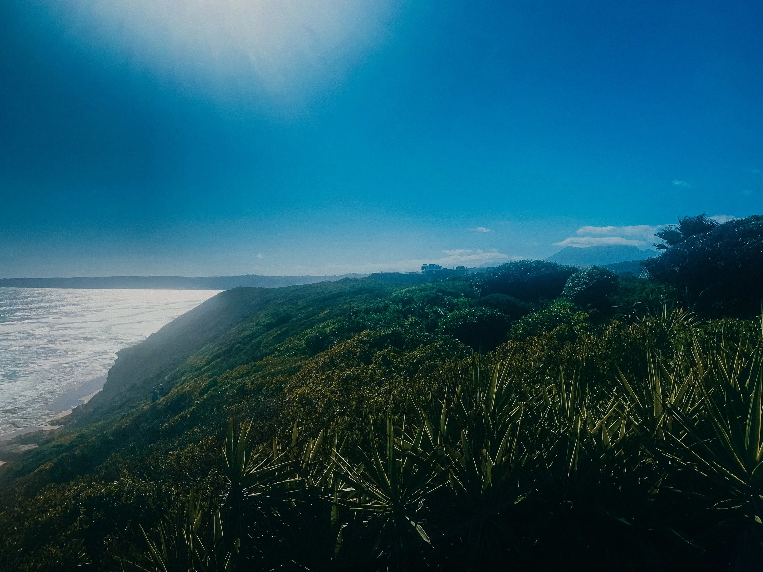 yogakasha-impressionen-edited-by-anne caspar-591.jpg