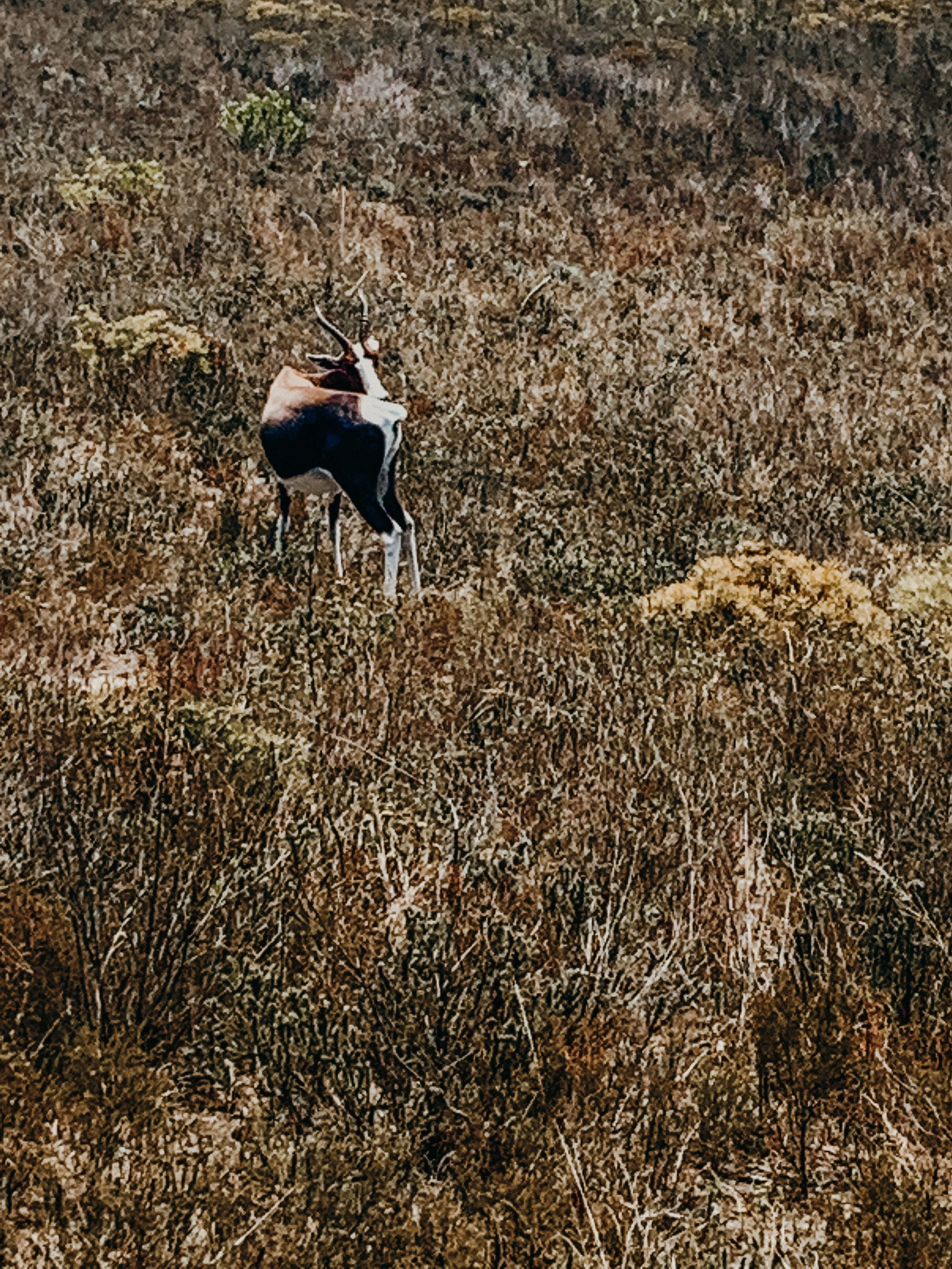 yogakasha-impressionen-edited-by-anne caspar-646.jpg