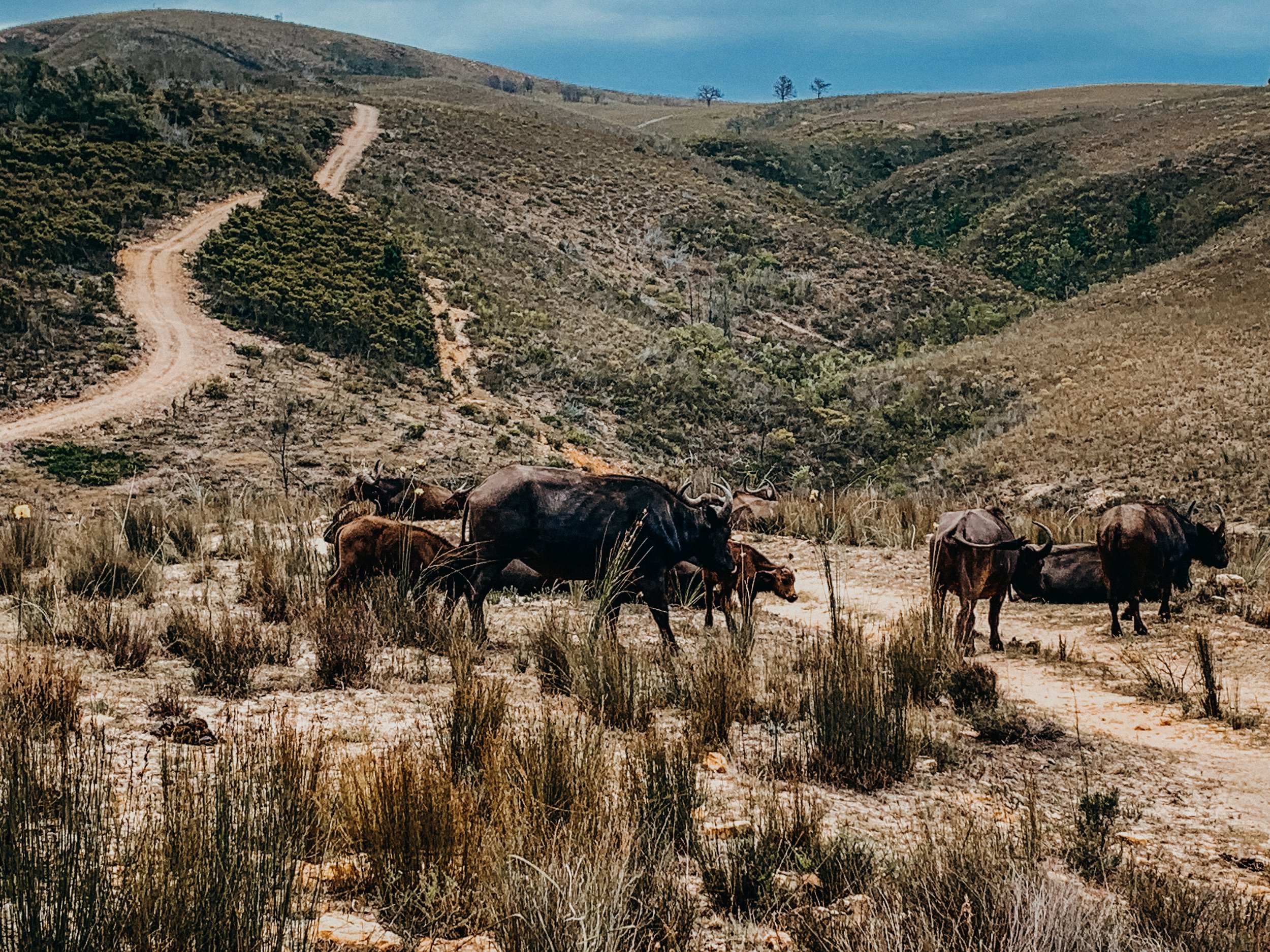 yogakasha-impressionen-edited-by-anne caspar-652.jpg
