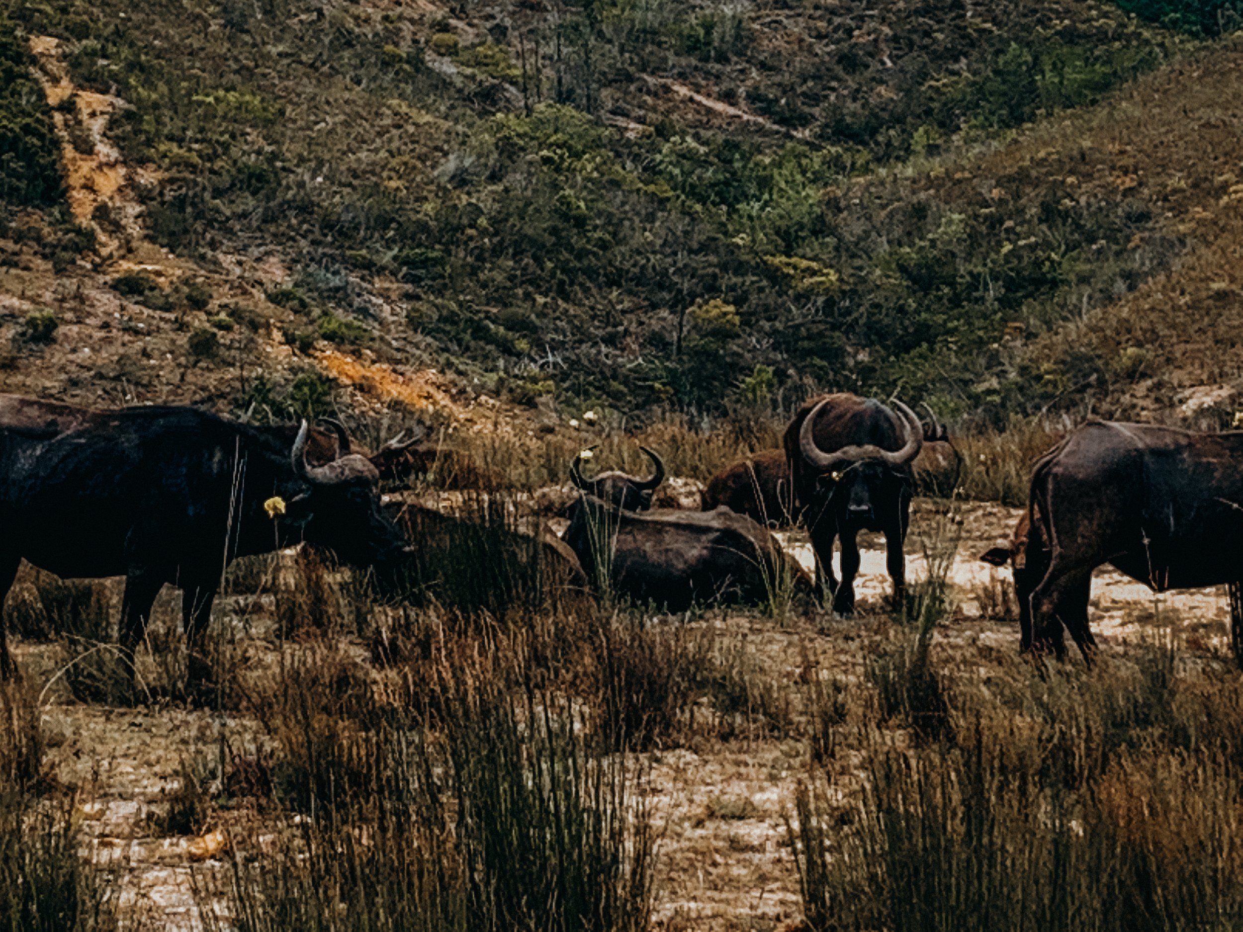 yogakasha-impressionen-edited-by-anne caspar-649.jpg