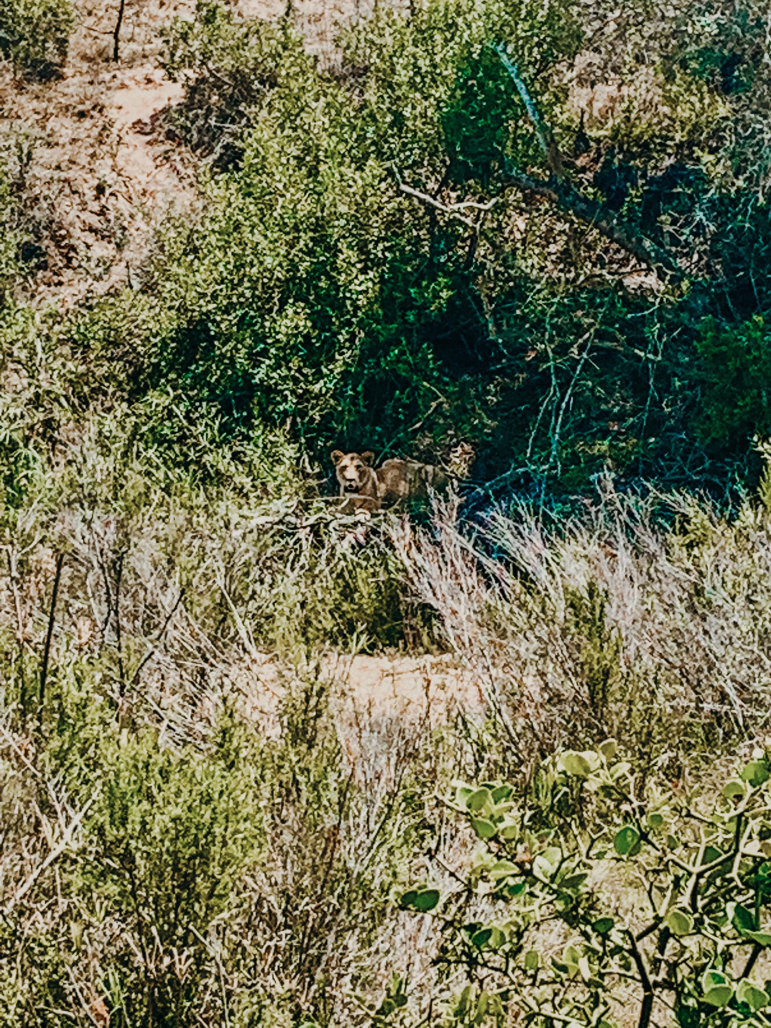 yogakasha-impressionen-edited-by-anne caspar-635.jpg