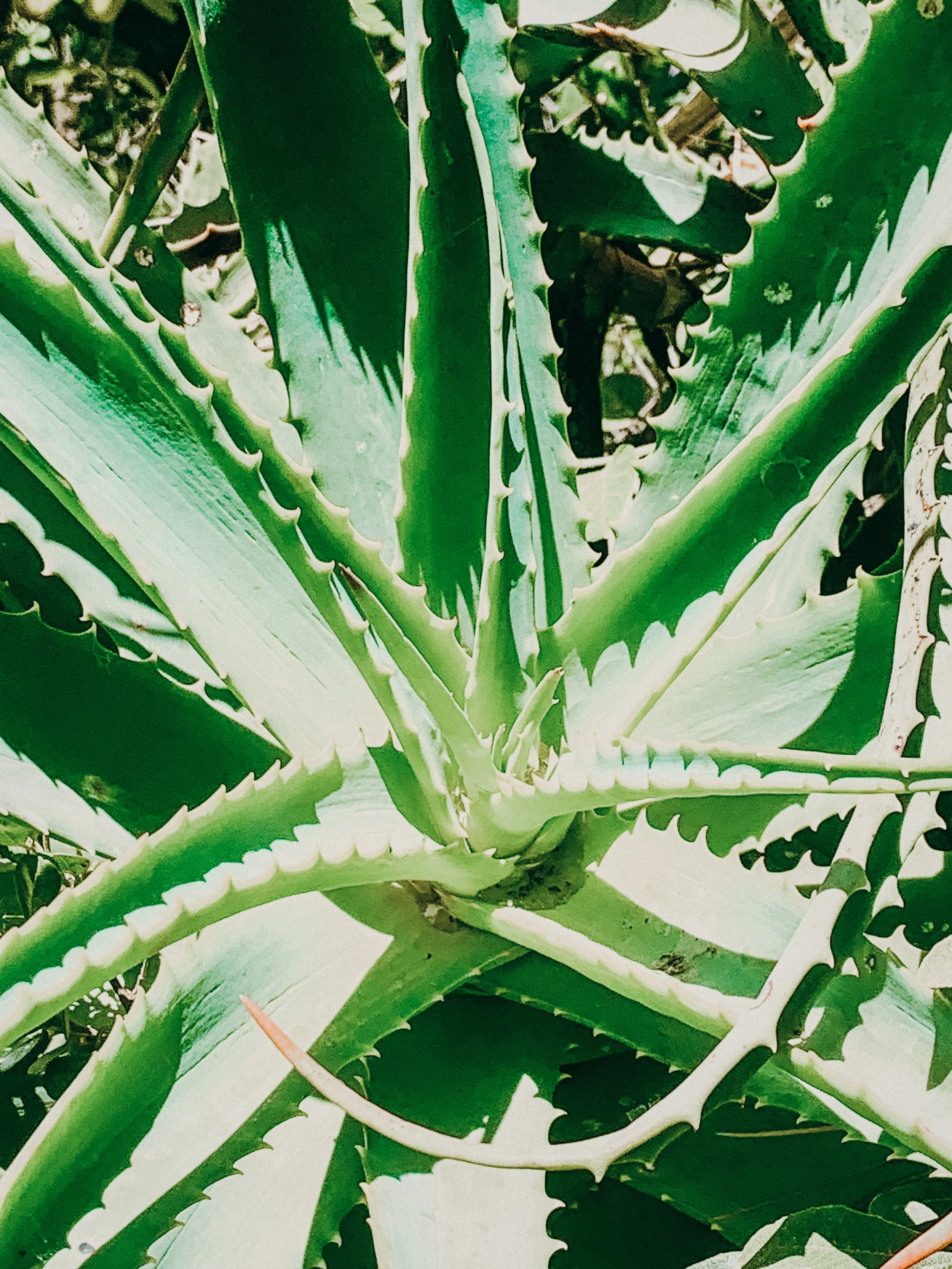 yogakasha-impressionen-edited-by-anne caspar-587.jpg