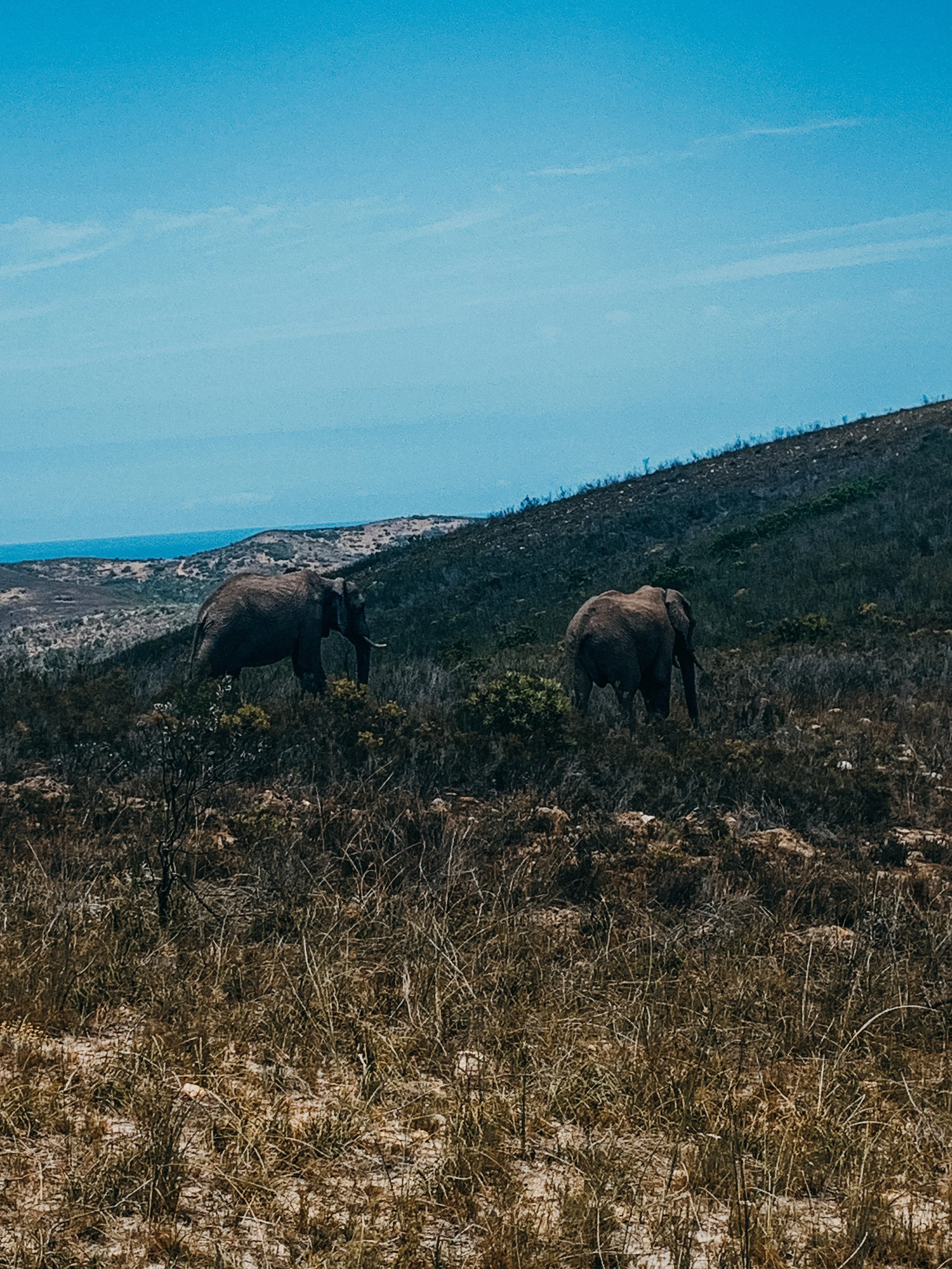 yogakasha-impressionen-edited-by-anne caspar-642.jpg