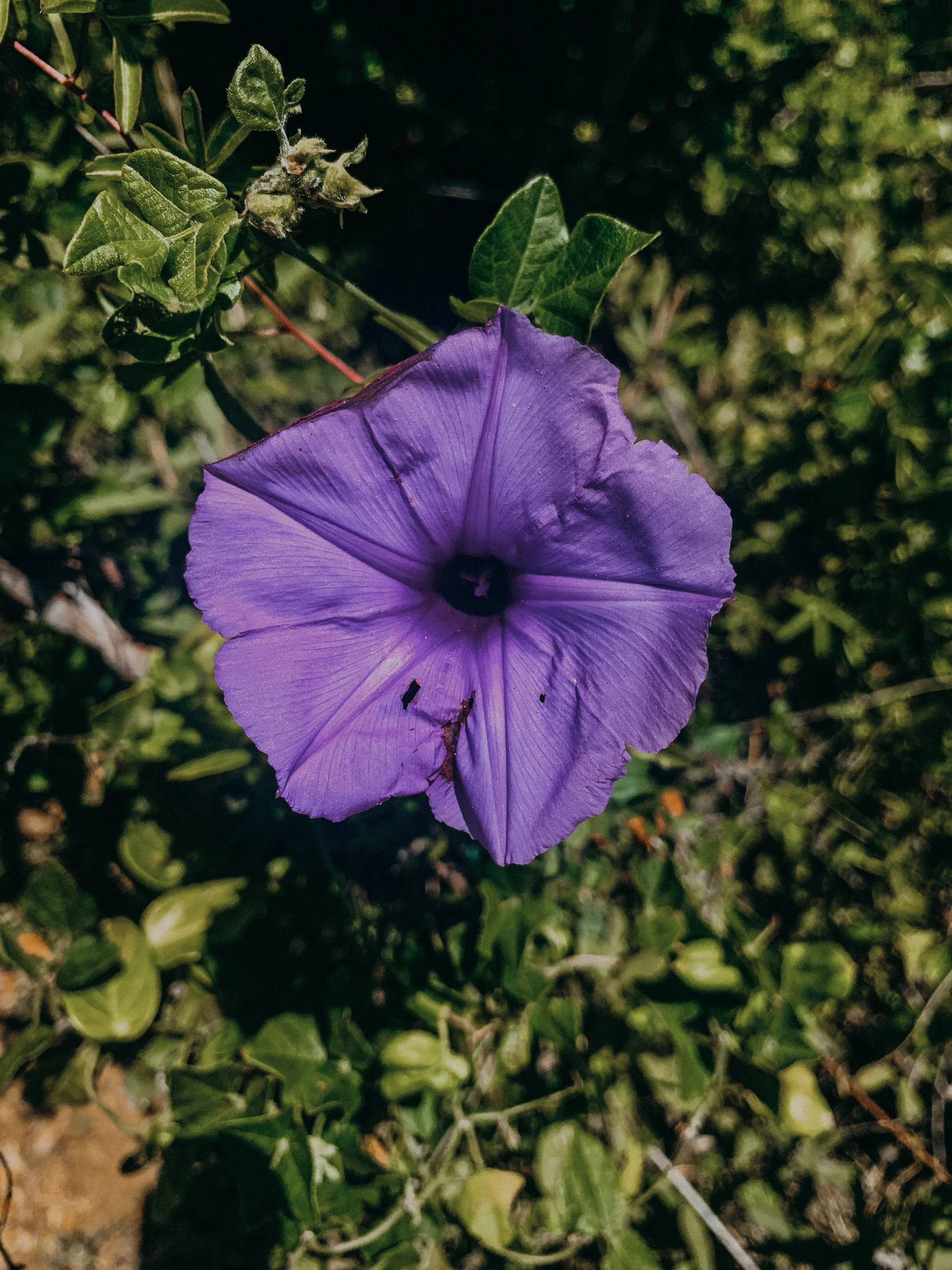 yogakasha-impressionen-edited-by-anne caspar-586.jpg