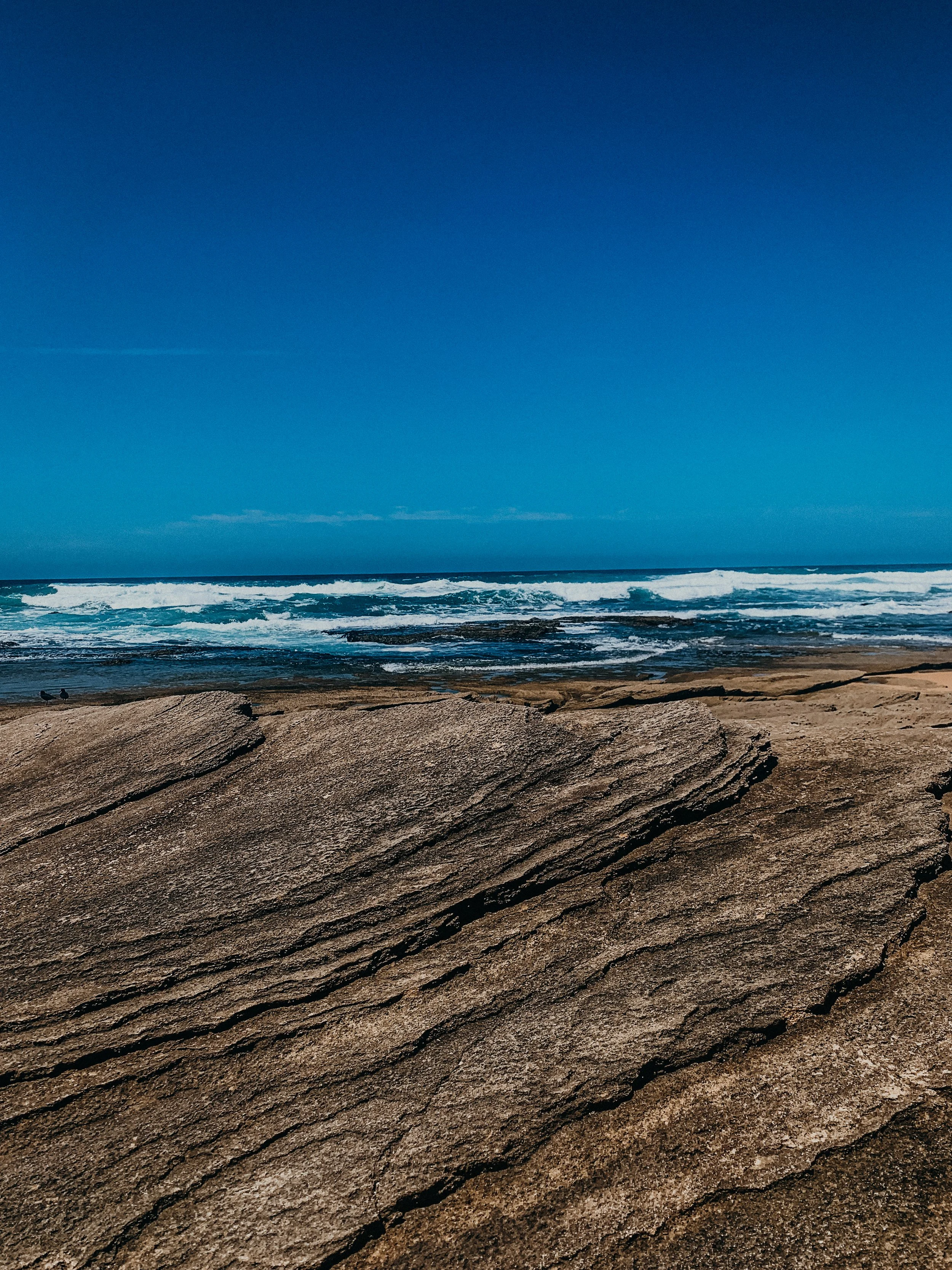 yogakasha-impressionen-edited-by-anne caspar-575.jpg