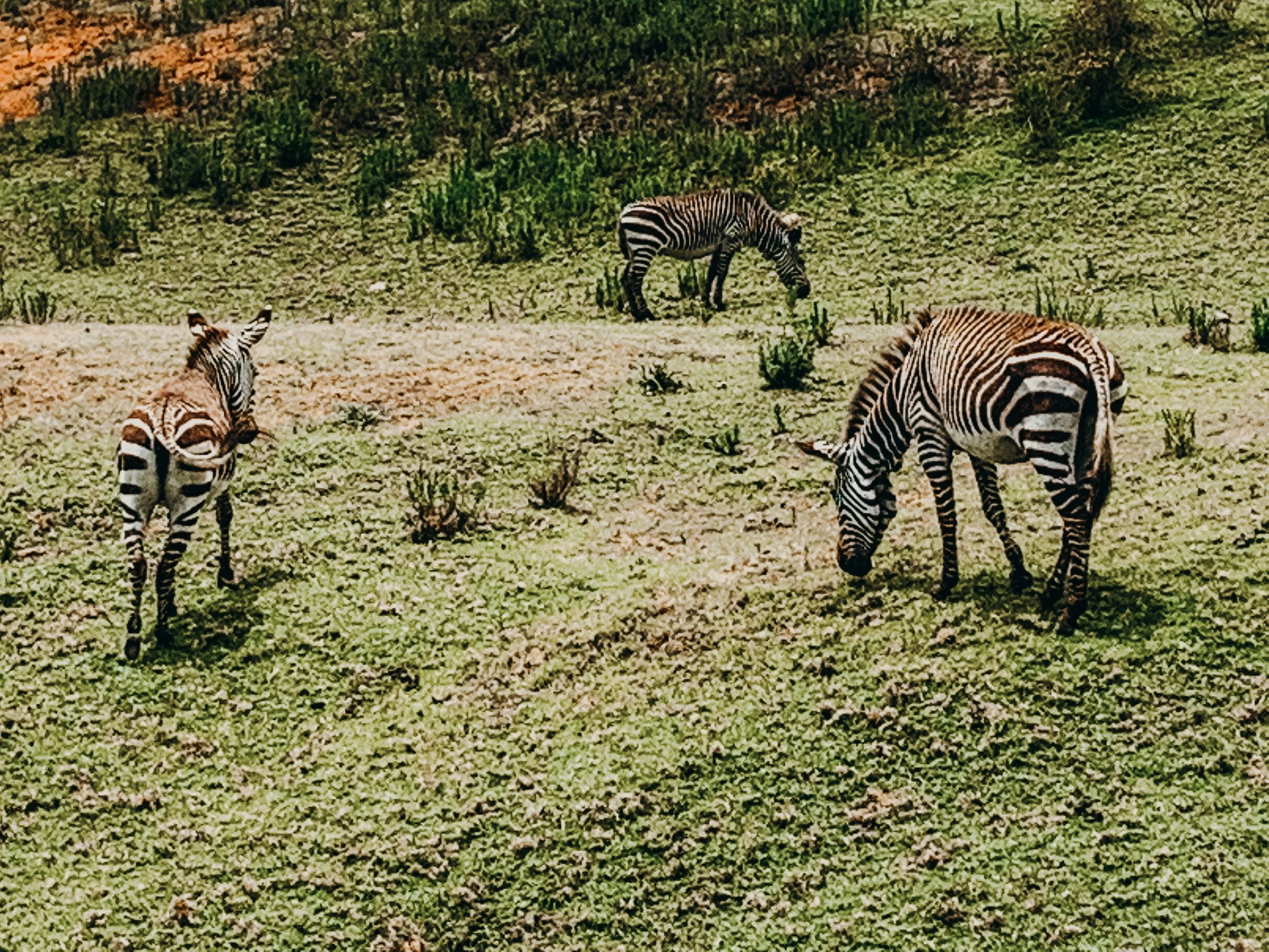 yogakasha-impressionen-edited-by-anne caspar-656.jpg