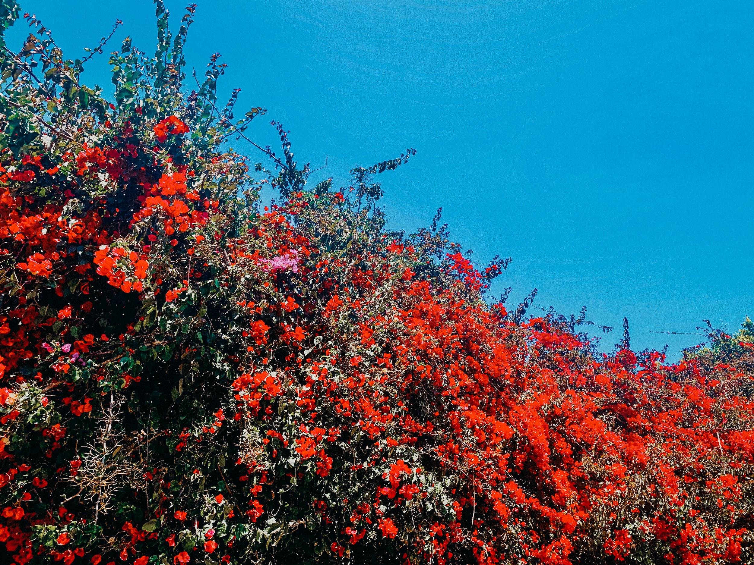 yogakasha-impressionen-edited-by-anne caspar-588.jpg