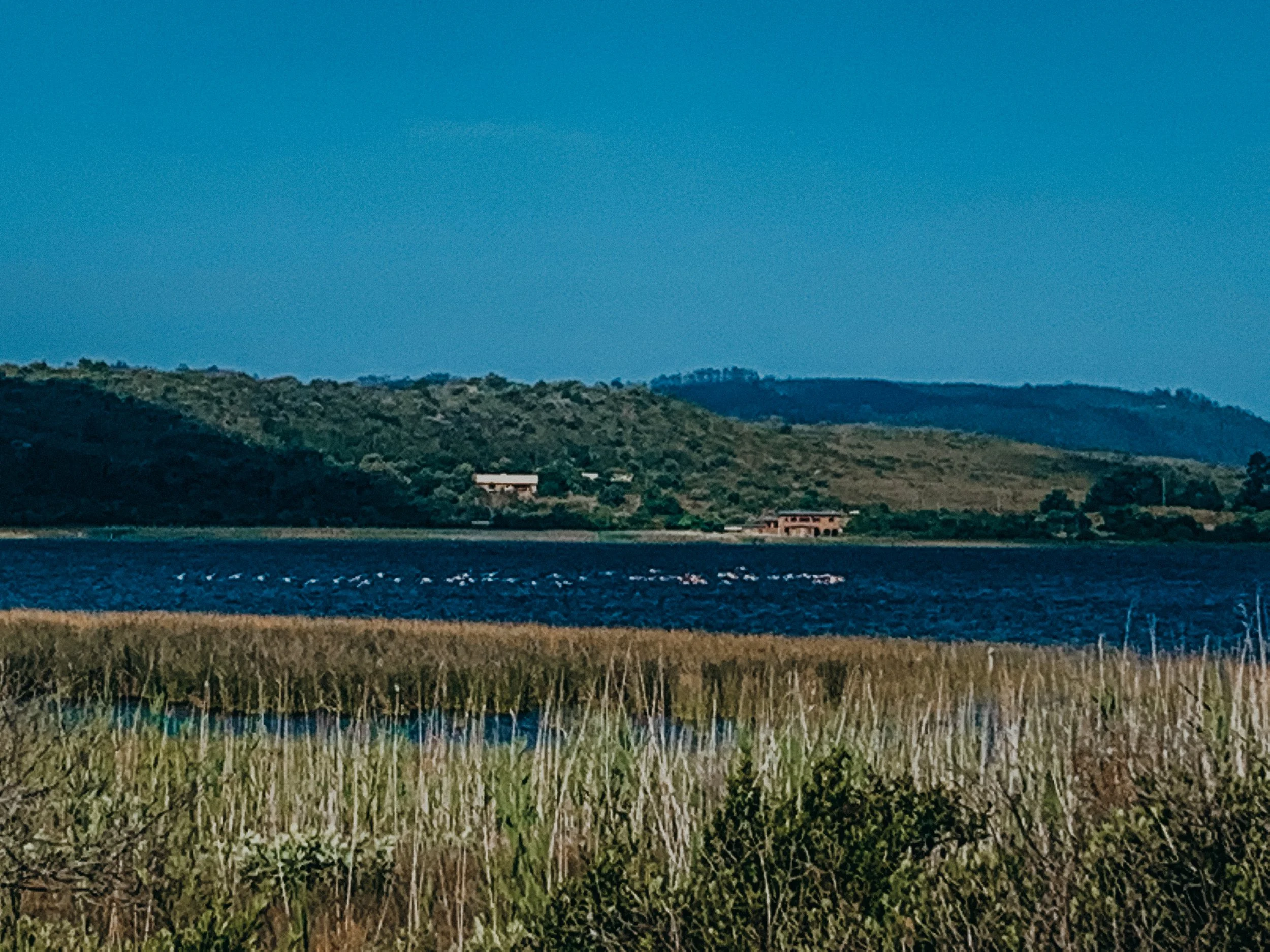 yogakasha-impressionen-edited-by-anne caspar-583.jpg