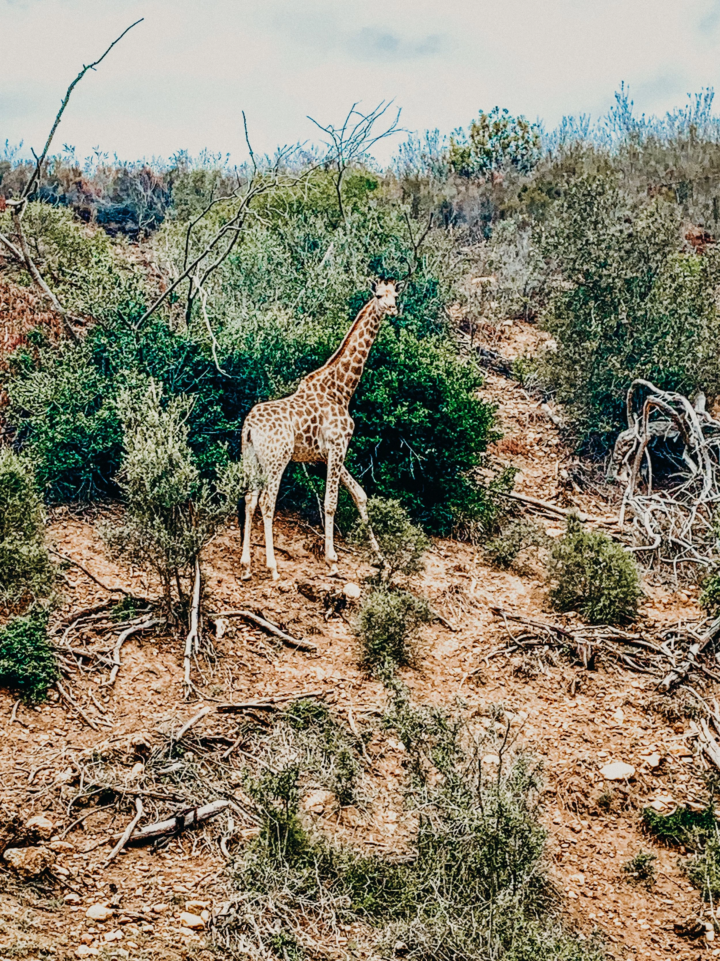 yogakasha-impressionen-edited-by-anne caspar-660.jpg
