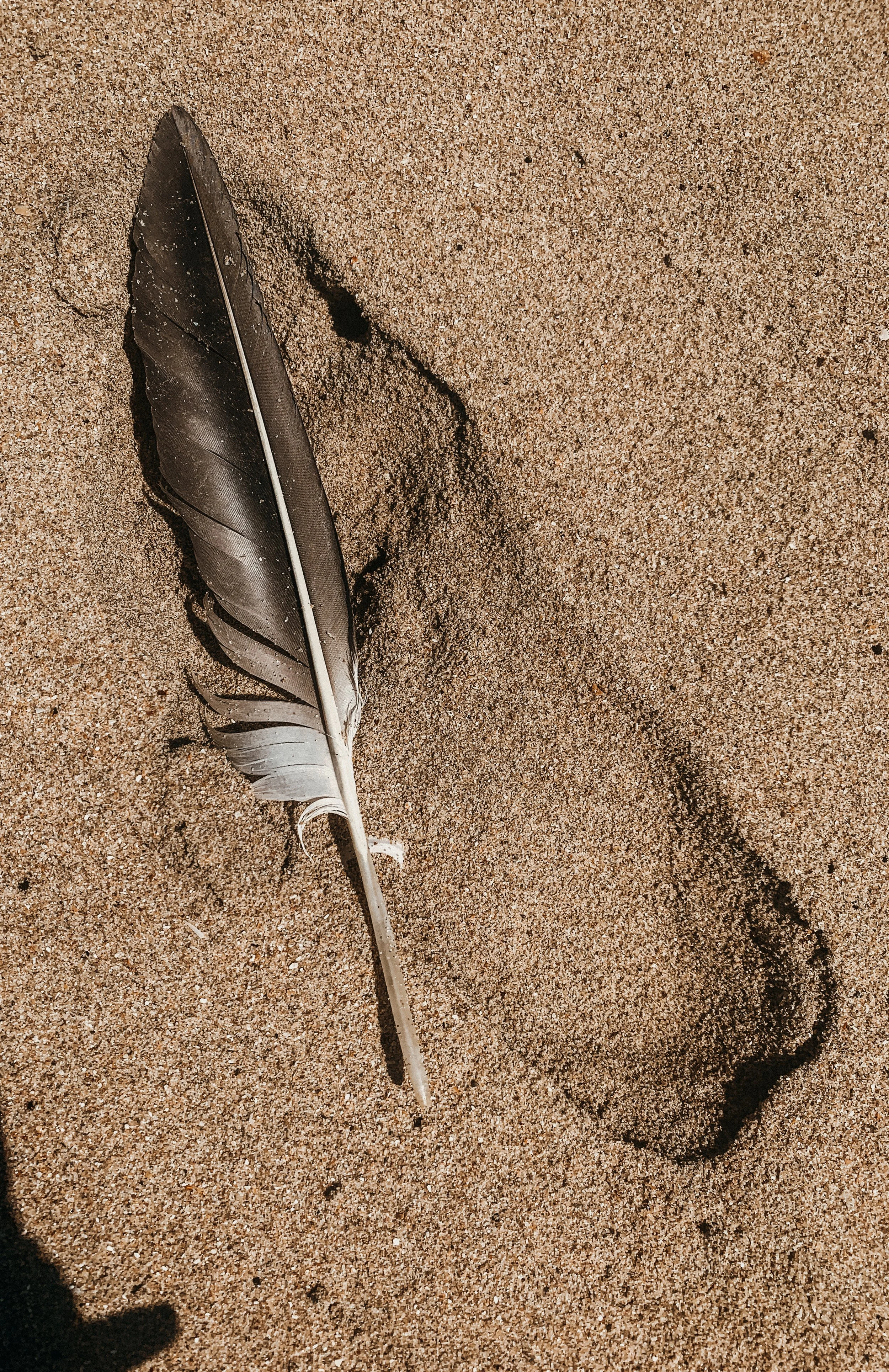 yogakasha-impressionen-edited-by-anne caspar-574.jpg