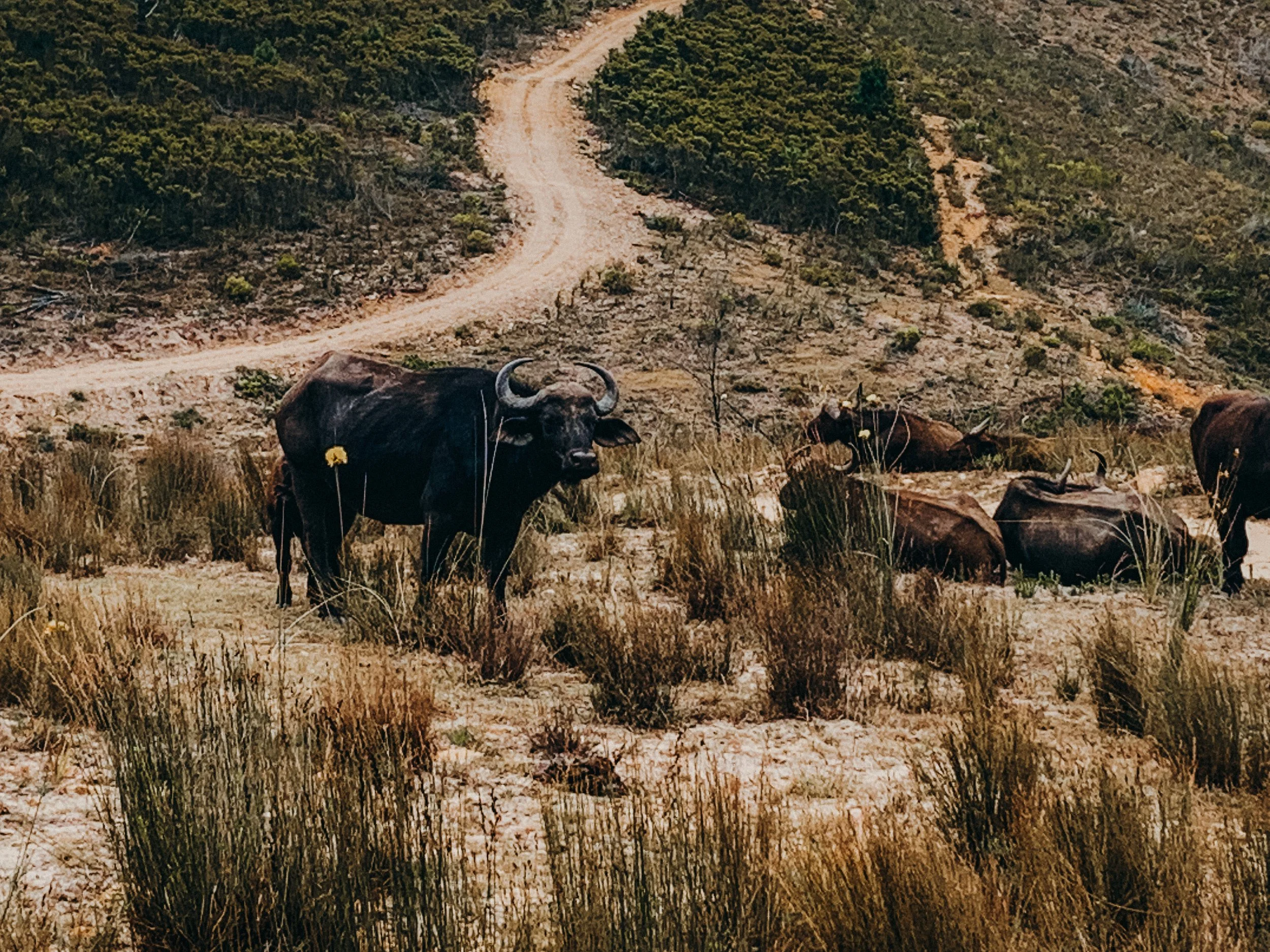 yogakasha-impressionen-edited-by-anne caspar-651.jpg