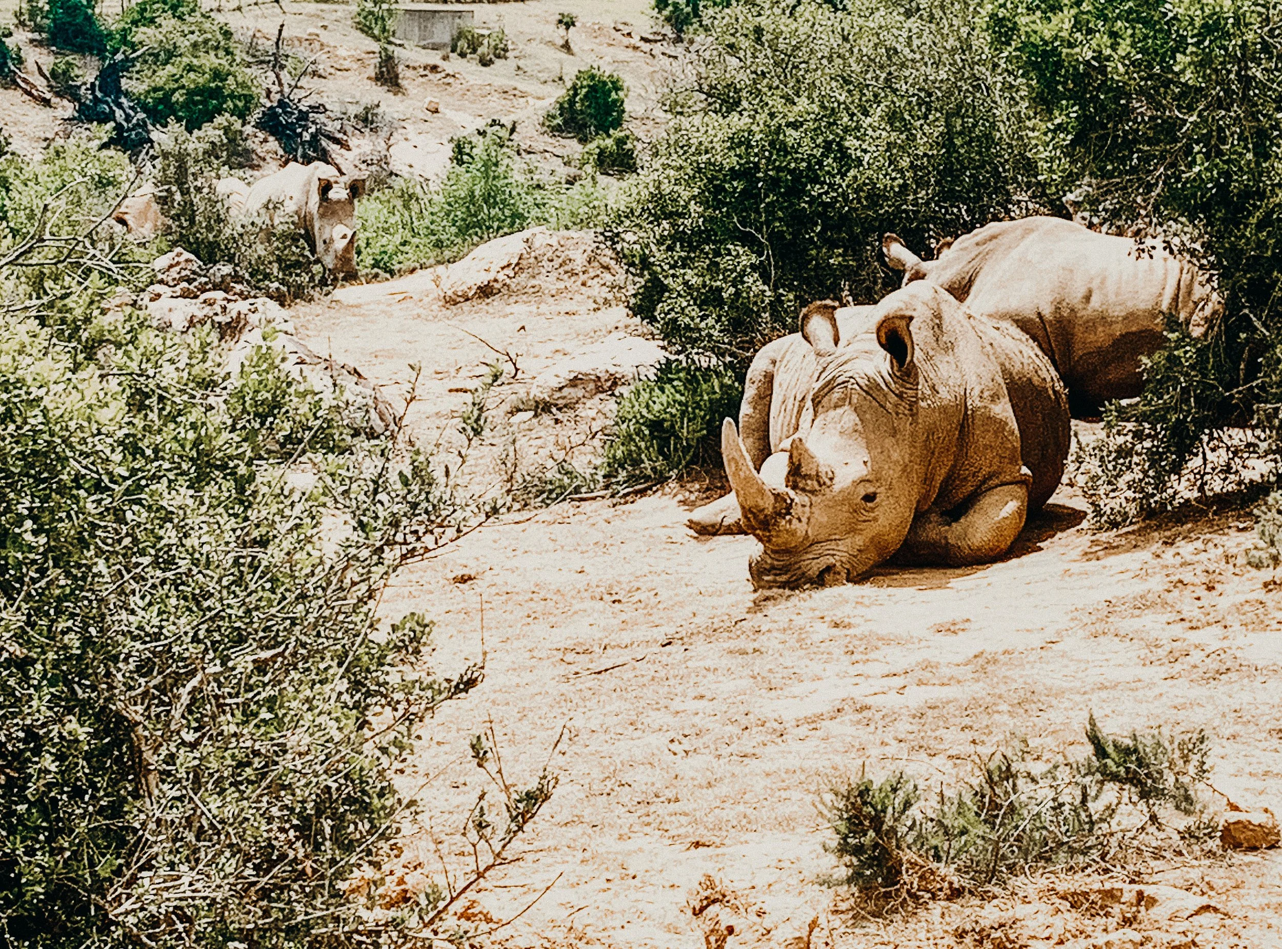 yogakasha-impressionen-edited-by-anne caspar-625.jpg