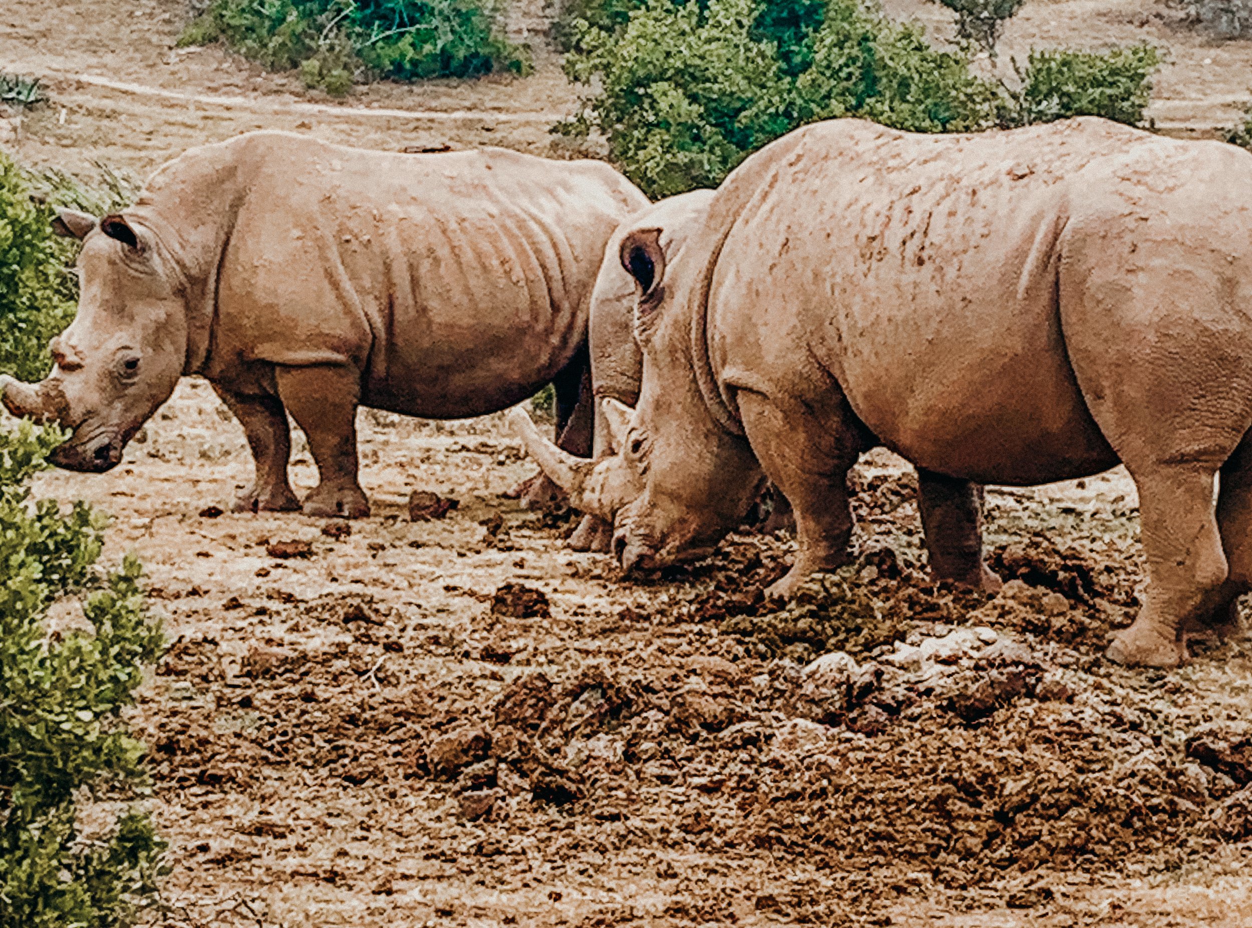 yogakasha-impressionen-edited-by-anne caspar-626.jpg