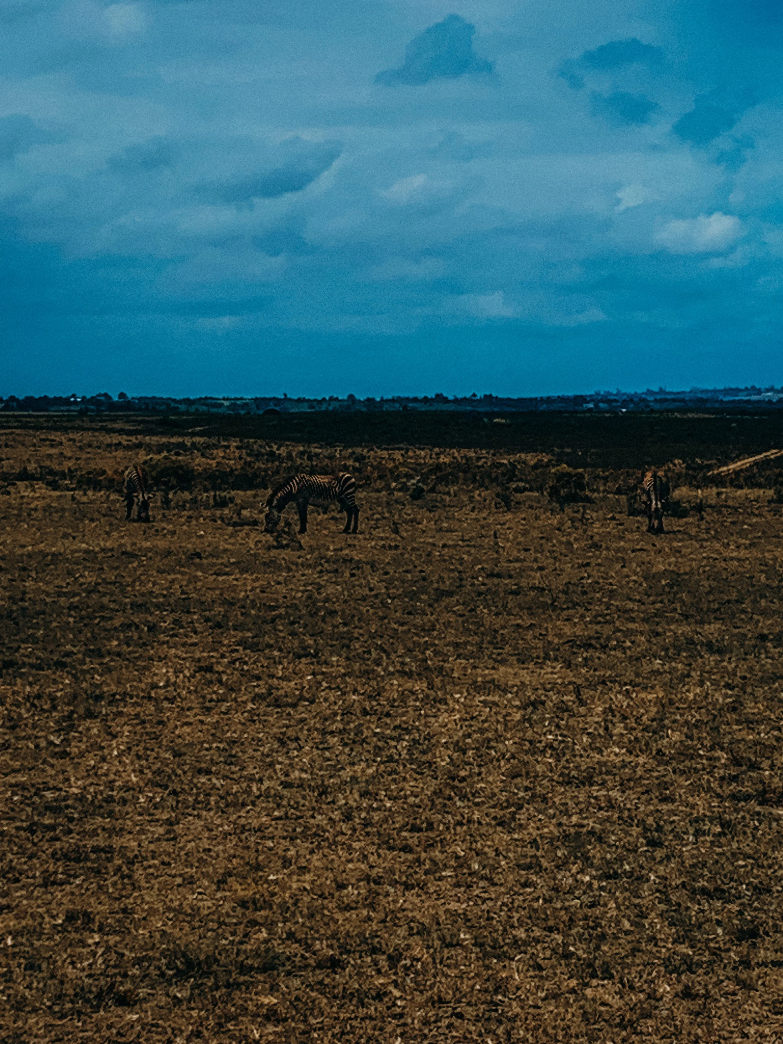 yogakasha-impressionen-edited-by-anne caspar-647.jpg