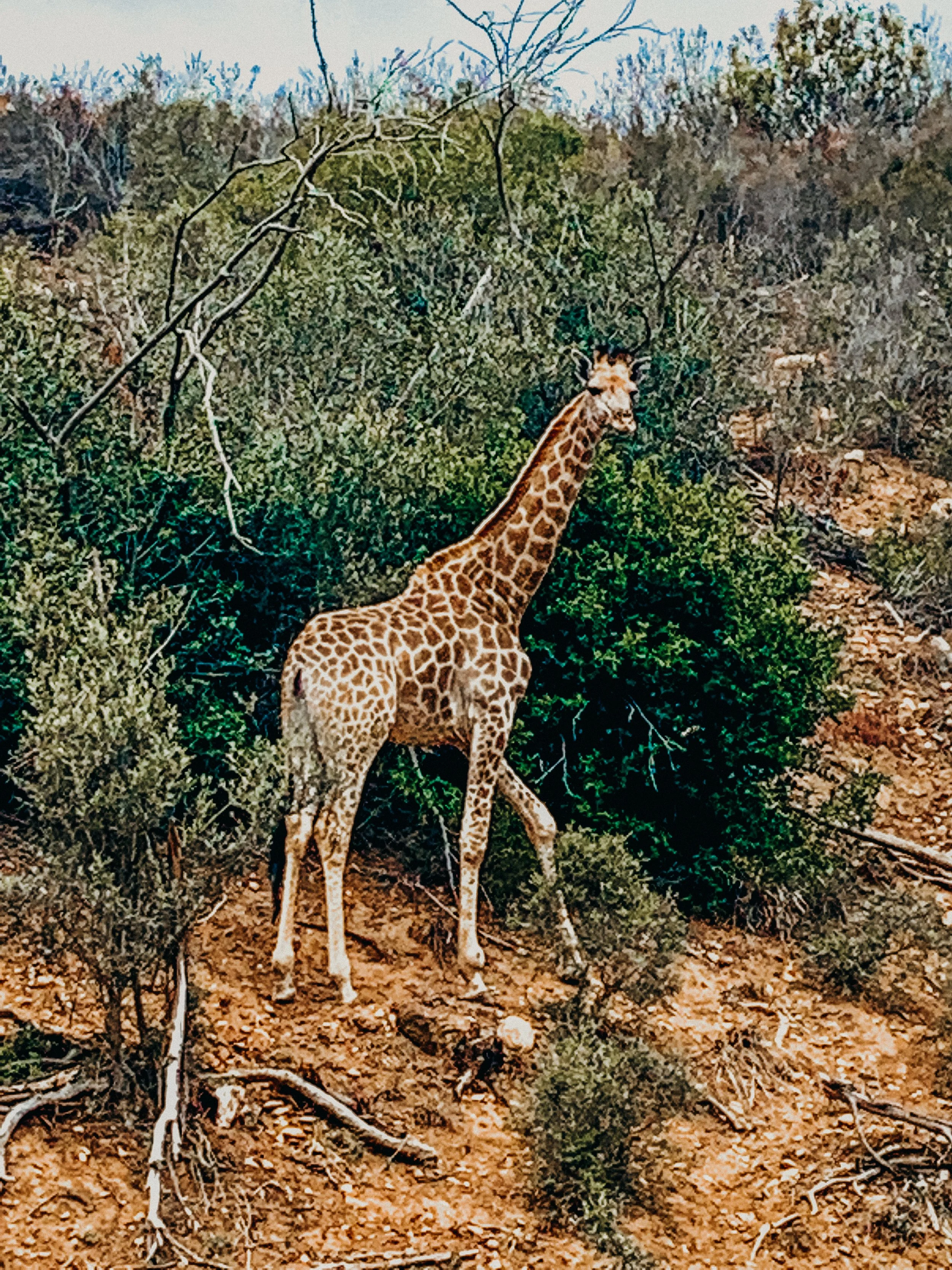 yogakasha-impressionen-edited-by-anne caspar-662.jpg