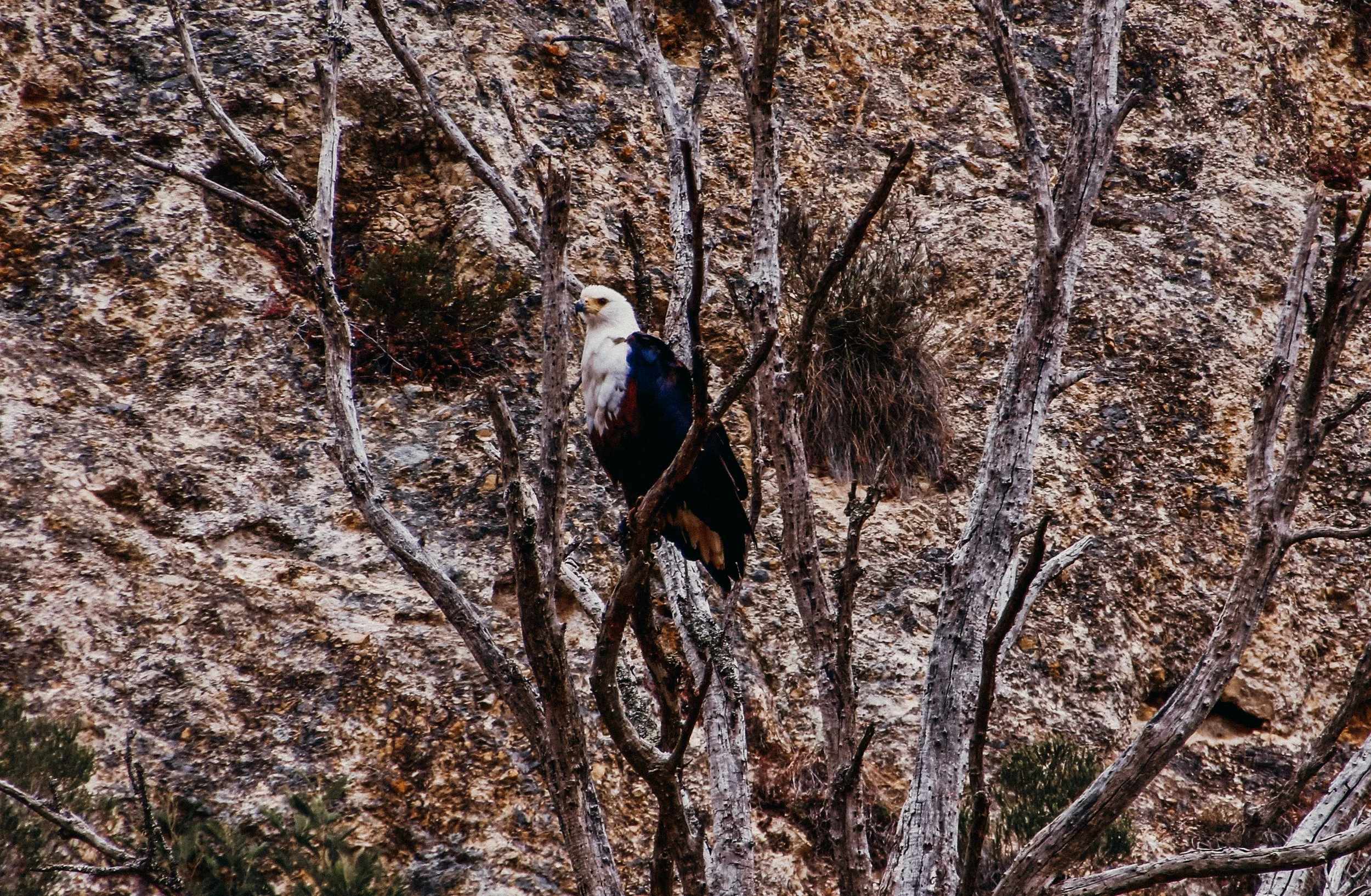 yogakasha-impressionen-edited-by-anne caspar-653.jpg