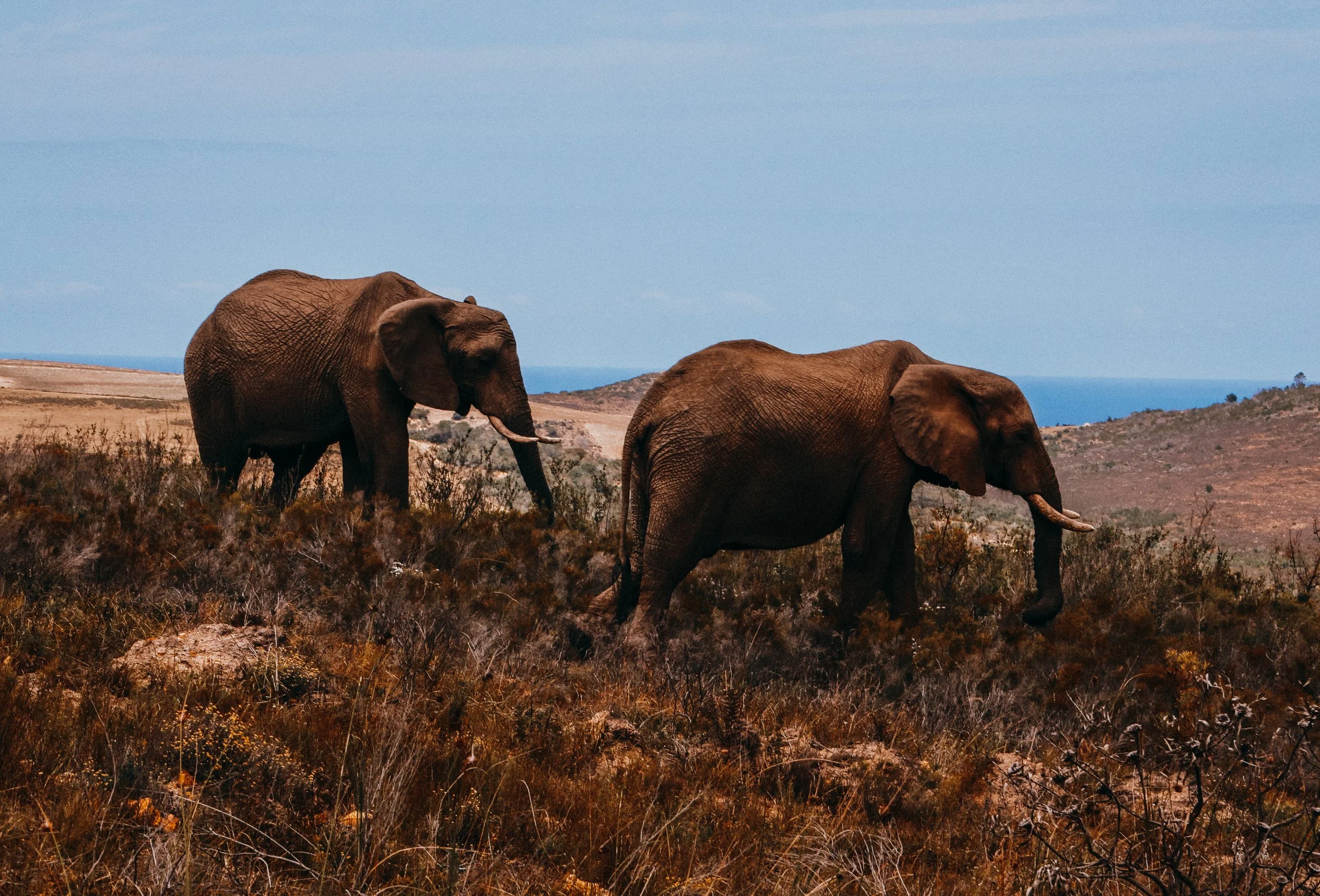 yogakasha-impressionen-edited-by-anne caspar-640.jpg