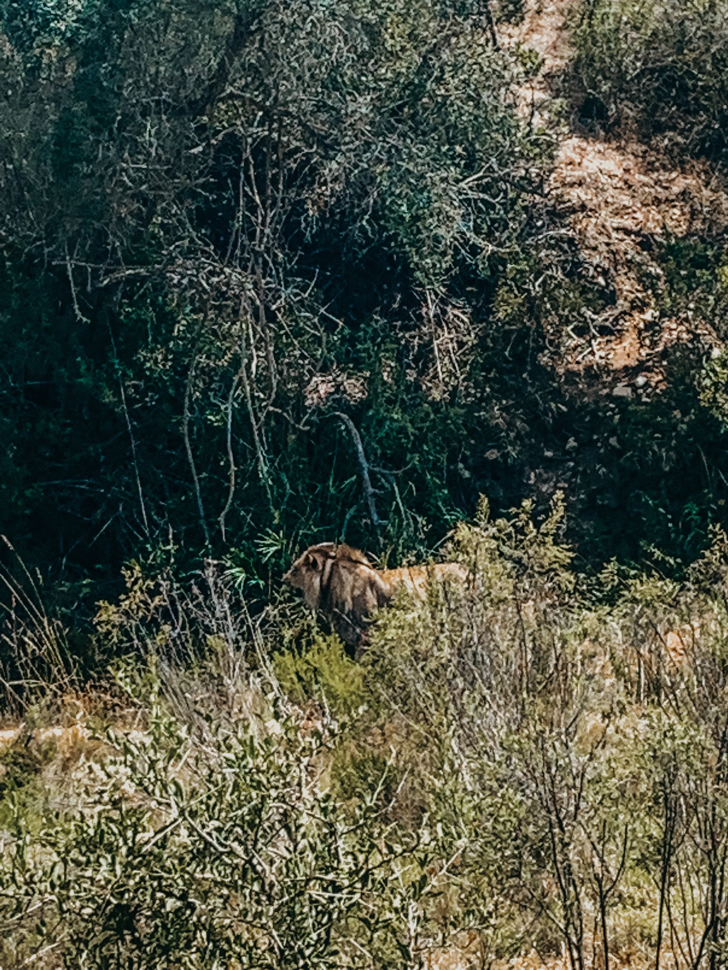 yogakasha-impressionen-edited-by-anne caspar-631.jpg