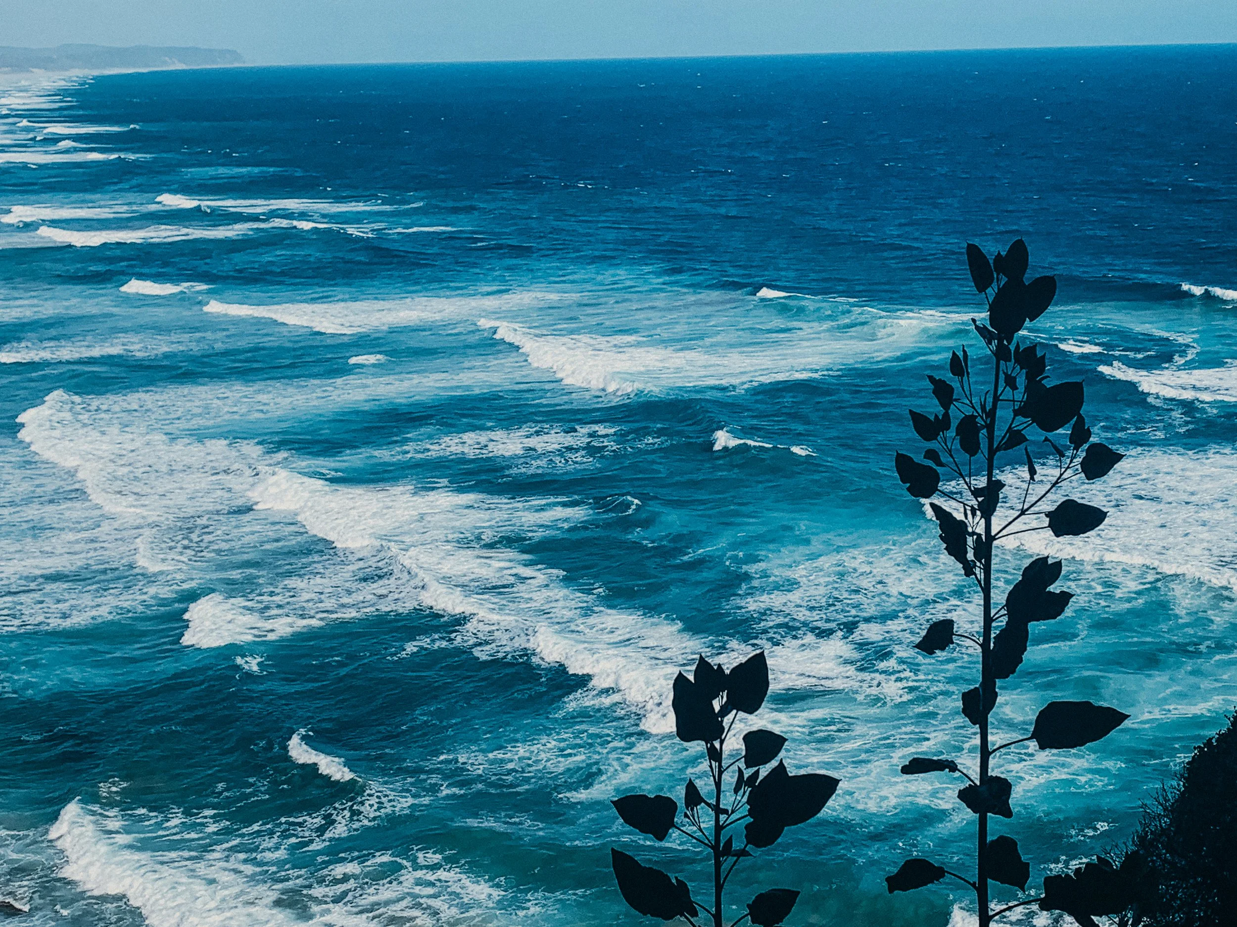 yogakasha-impressionen-edited-by-anne caspar-557.jpg