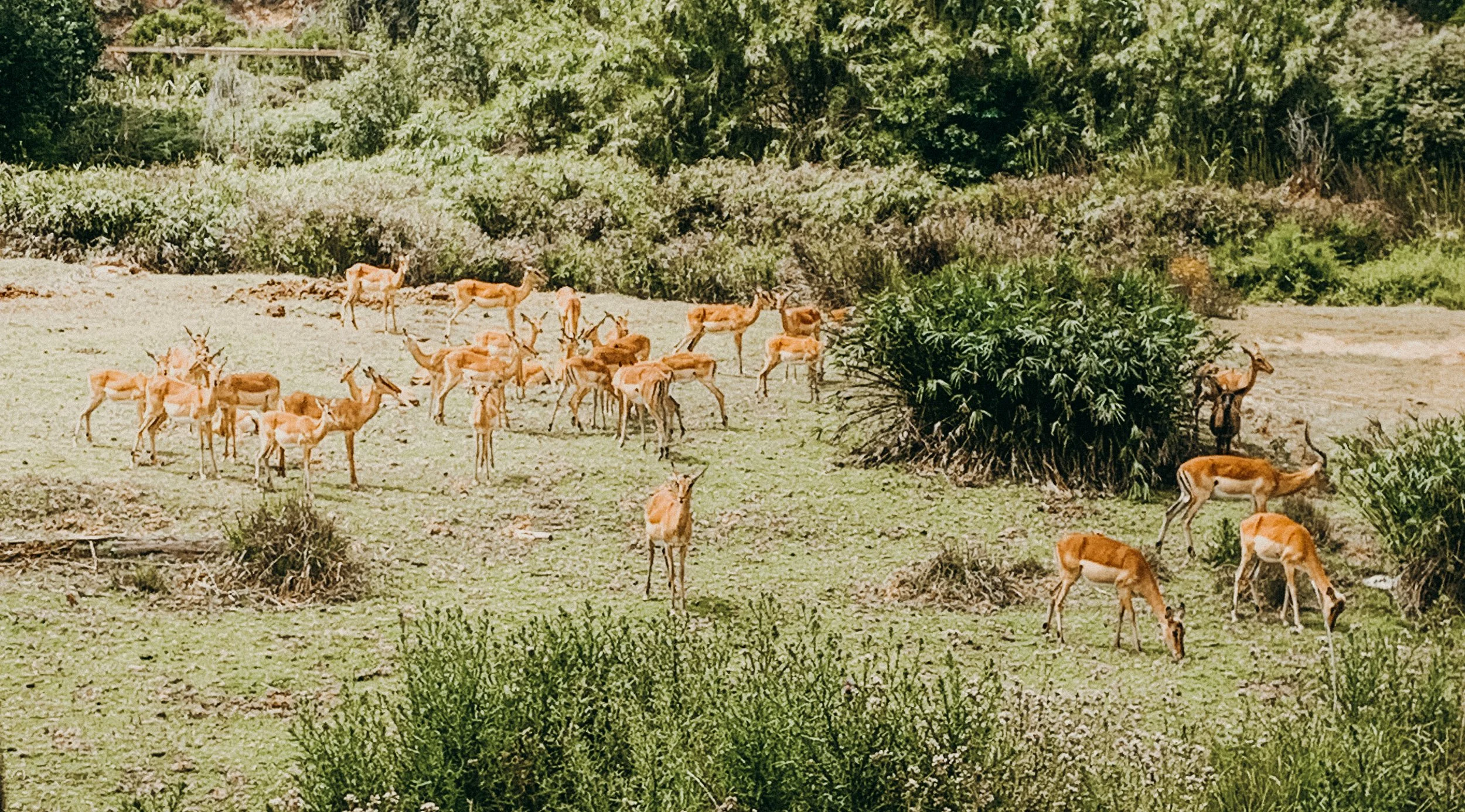 yogakasha-impressionen-edited-by-anne caspar-619.jpg