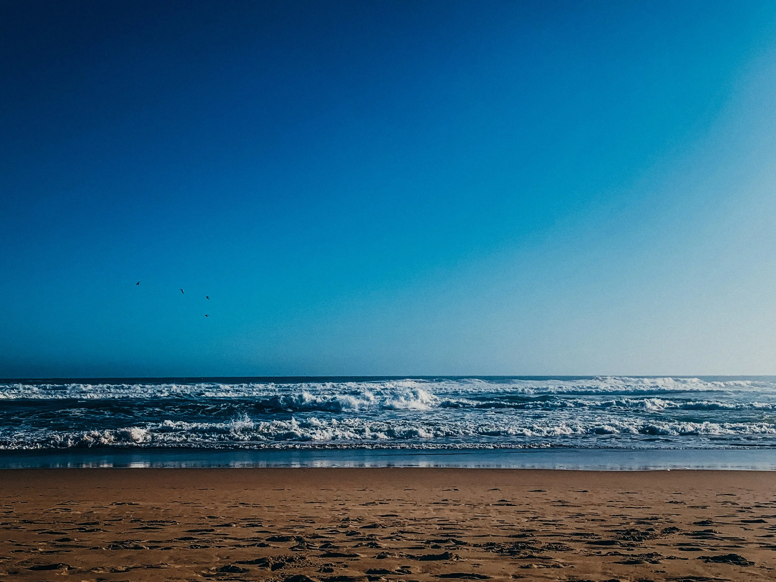 yogakasha-impressionen-edited-by-anne caspar-606.jpg