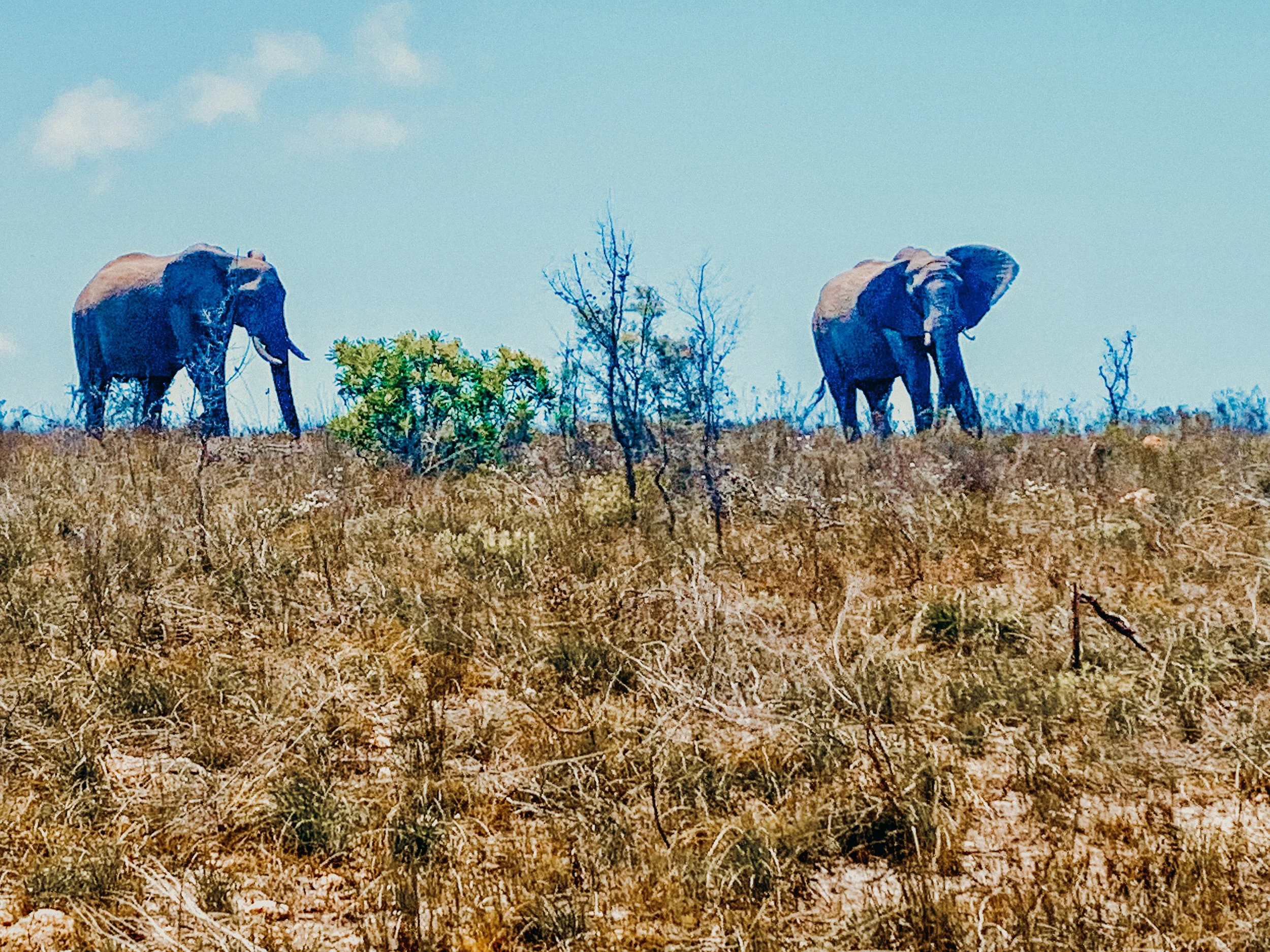 yogakasha-impressionen-edited-by-anne caspar-636.jpg