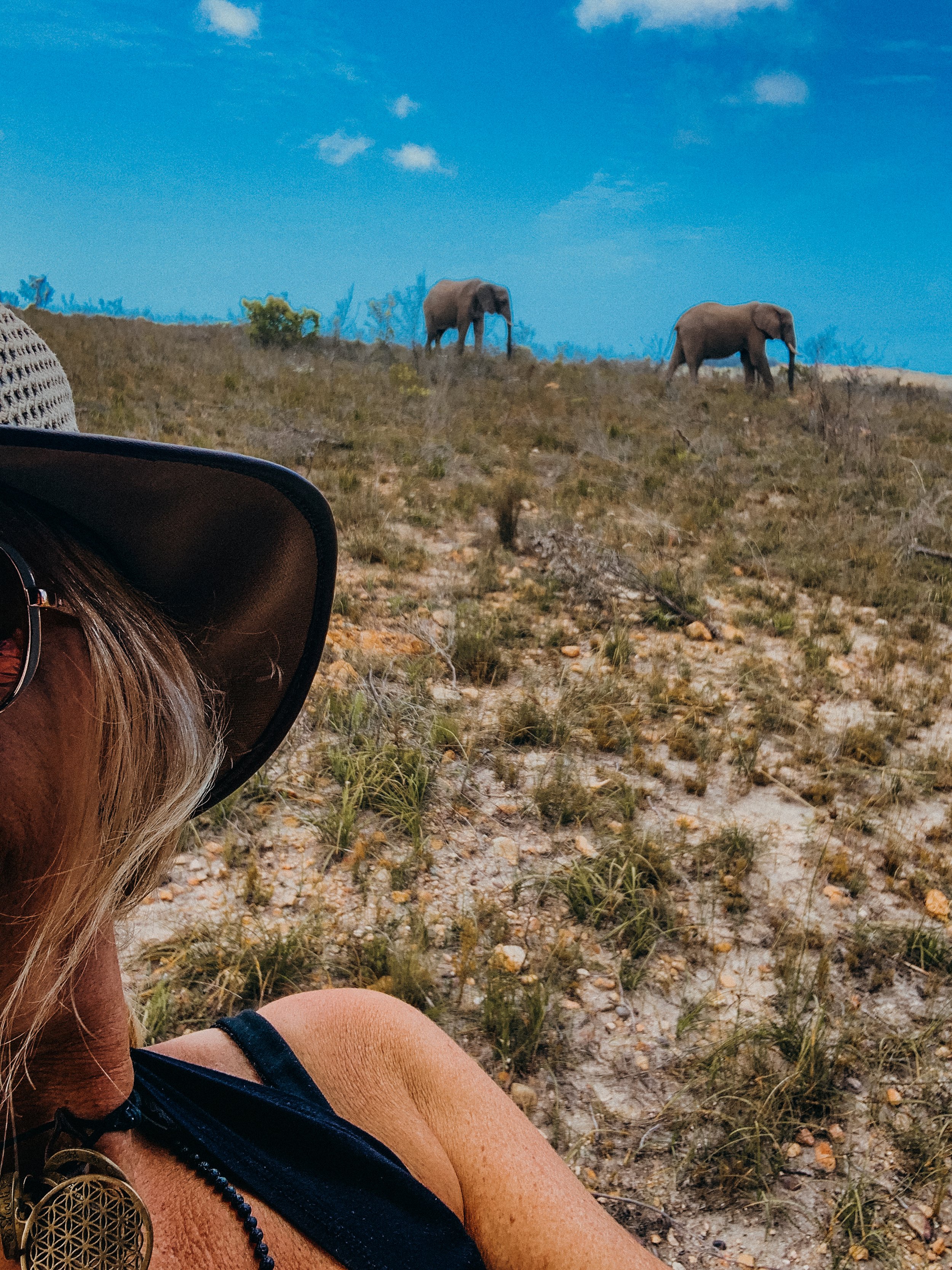 yogakasha-impressionen-edited-by-anne caspar-638.jpg