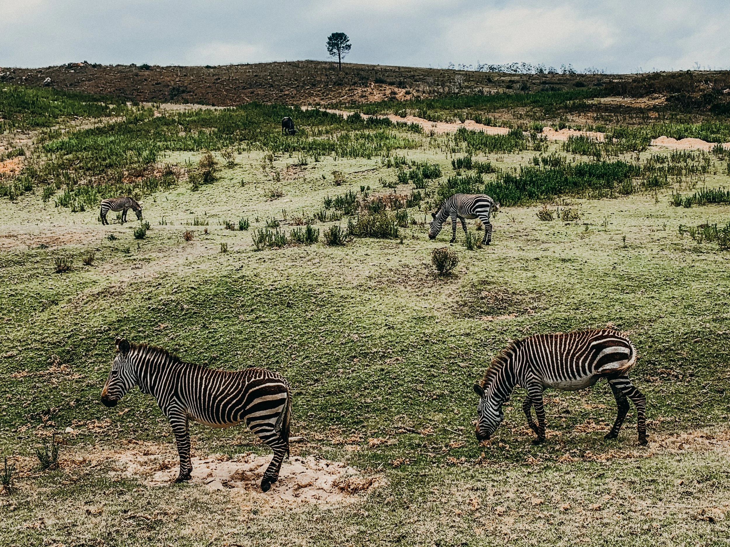 yogakasha-impressionen-edited-by-anne caspar-655.jpg