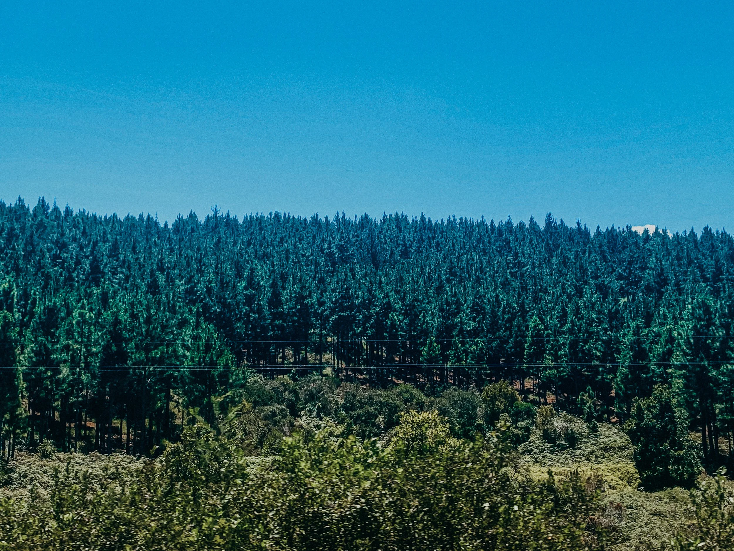 yogakasha-impressionen-edited-by-anne caspar-609.jpg