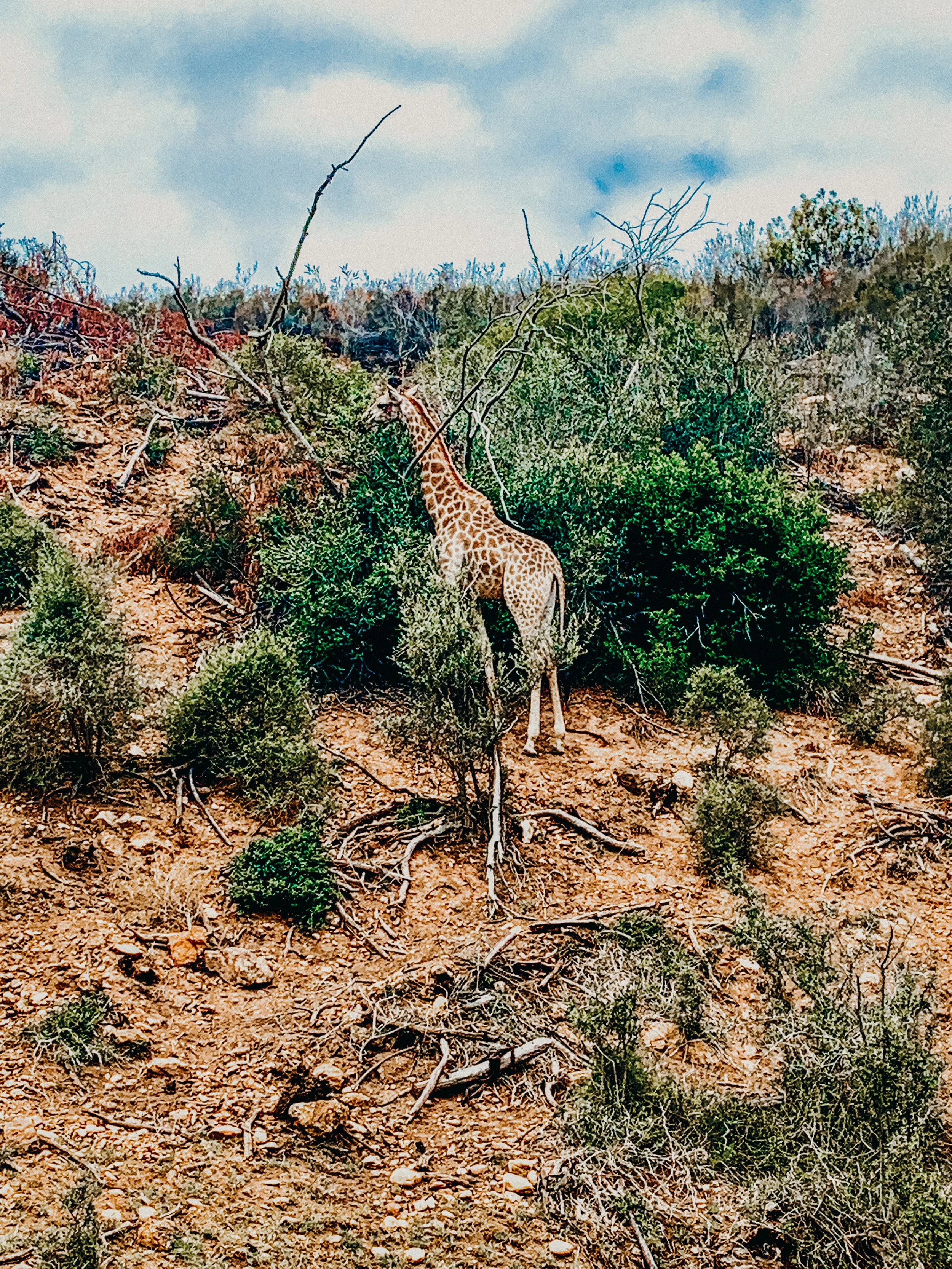 yogakasha-impressionen-edited-by-anne caspar-659.jpg