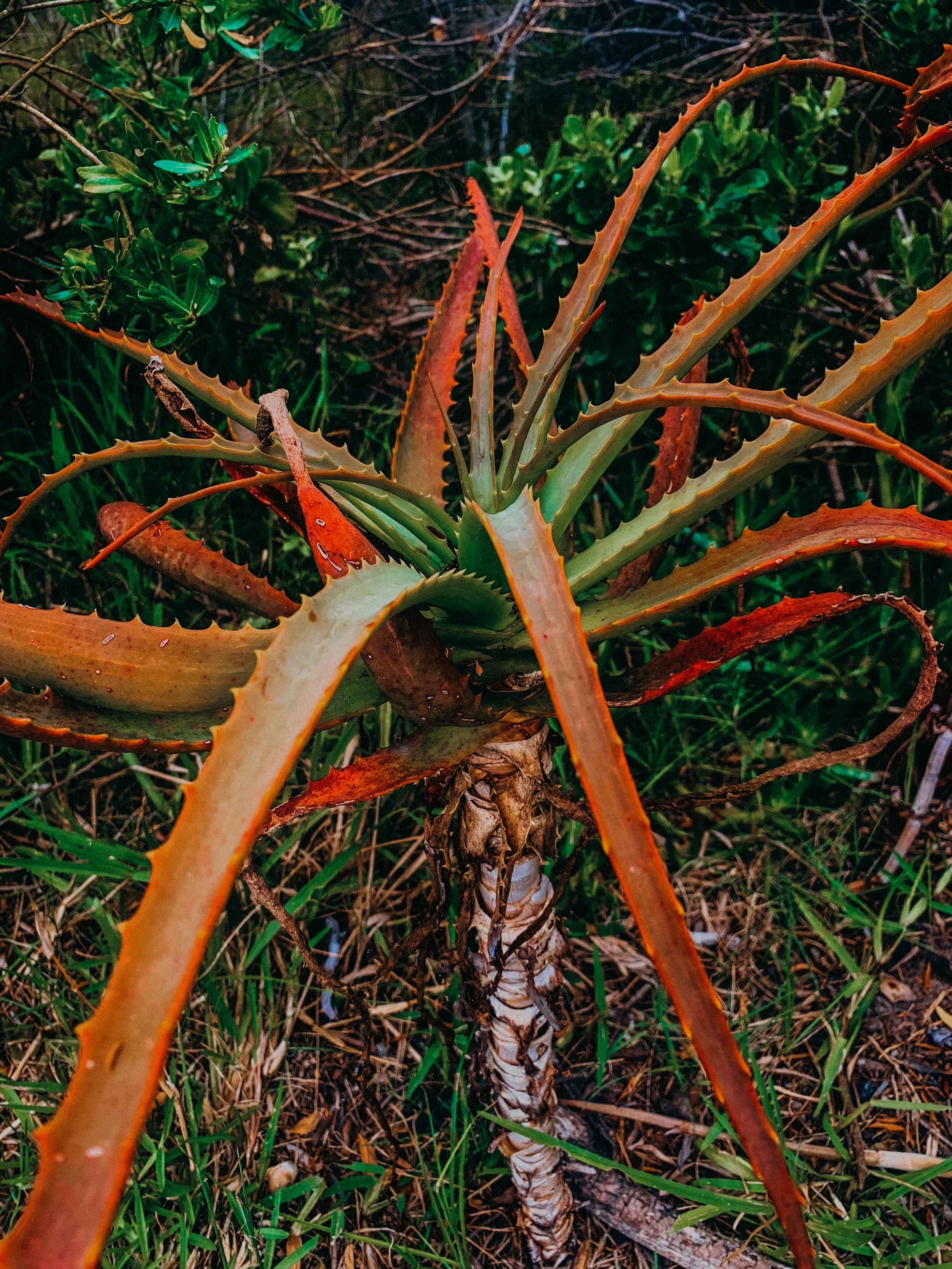 yogakasha-impressionen-edited-by-anne caspar-585.jpg