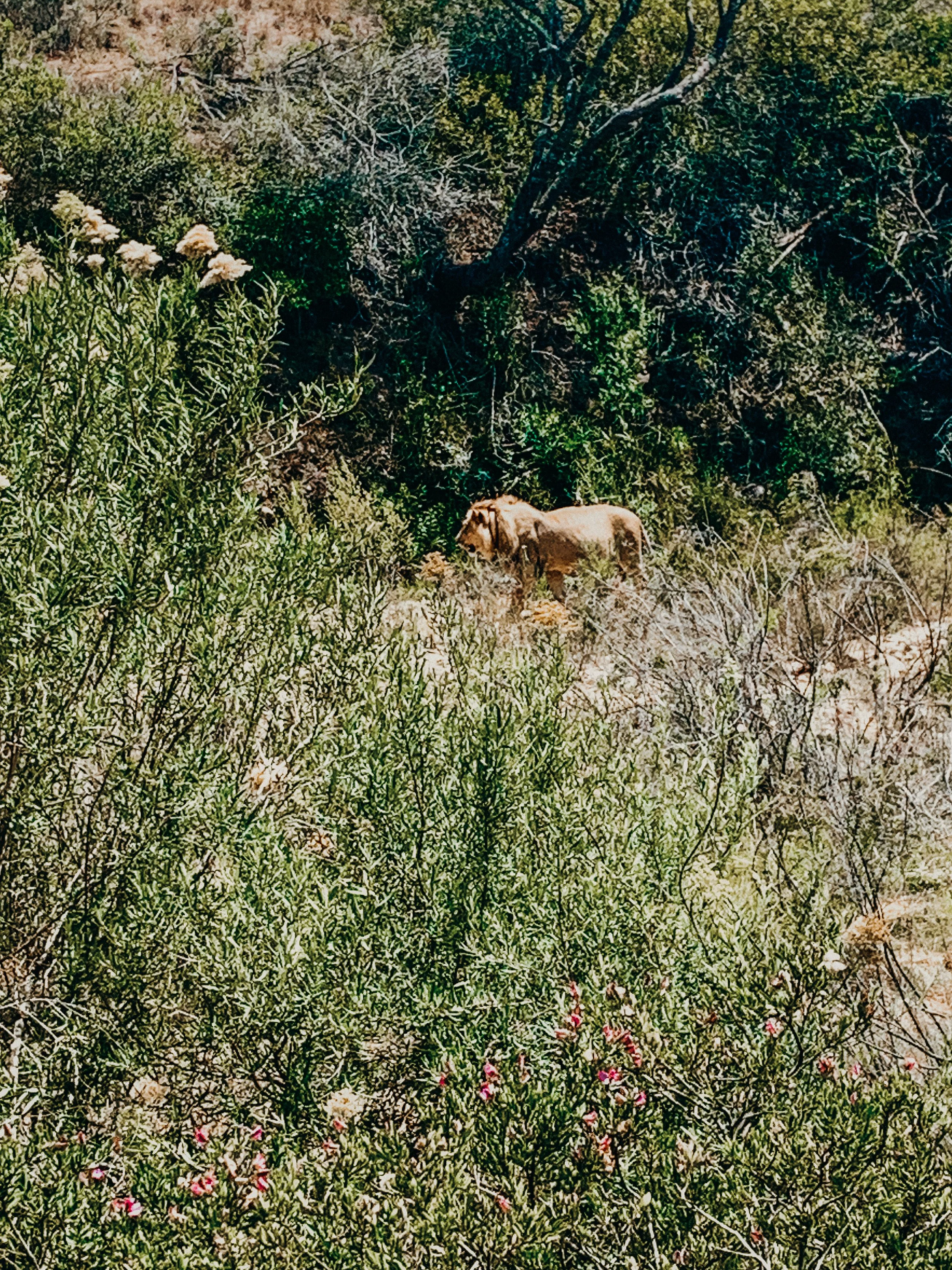 yogakasha-impressionen-edited-by-anne caspar-630.jpg