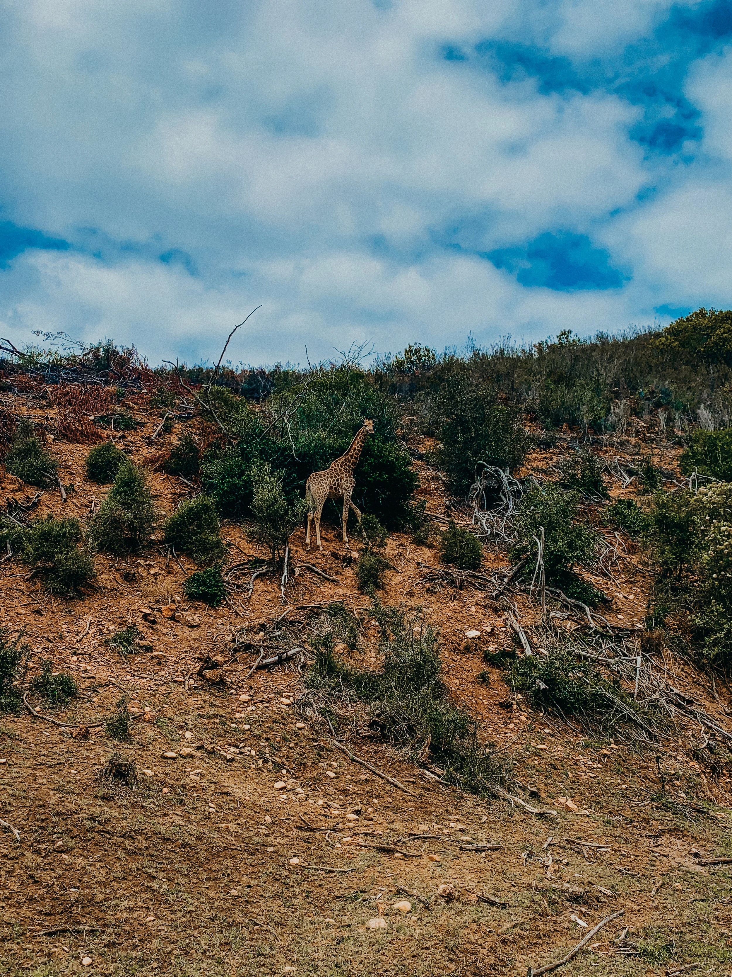 yogakasha-impressionen-edited-by-anne caspar-661.jpg