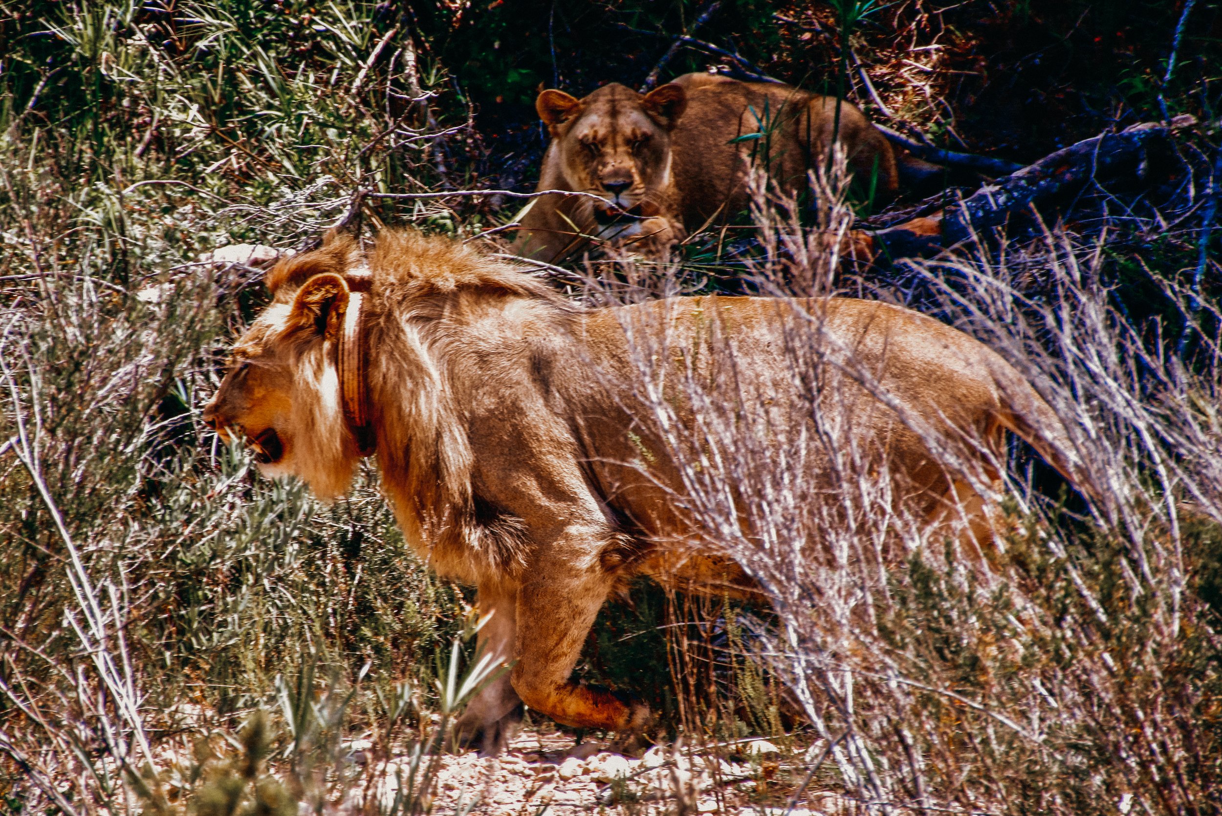 yogakasha-impressionen-edited-by-anne caspar-634.jpg