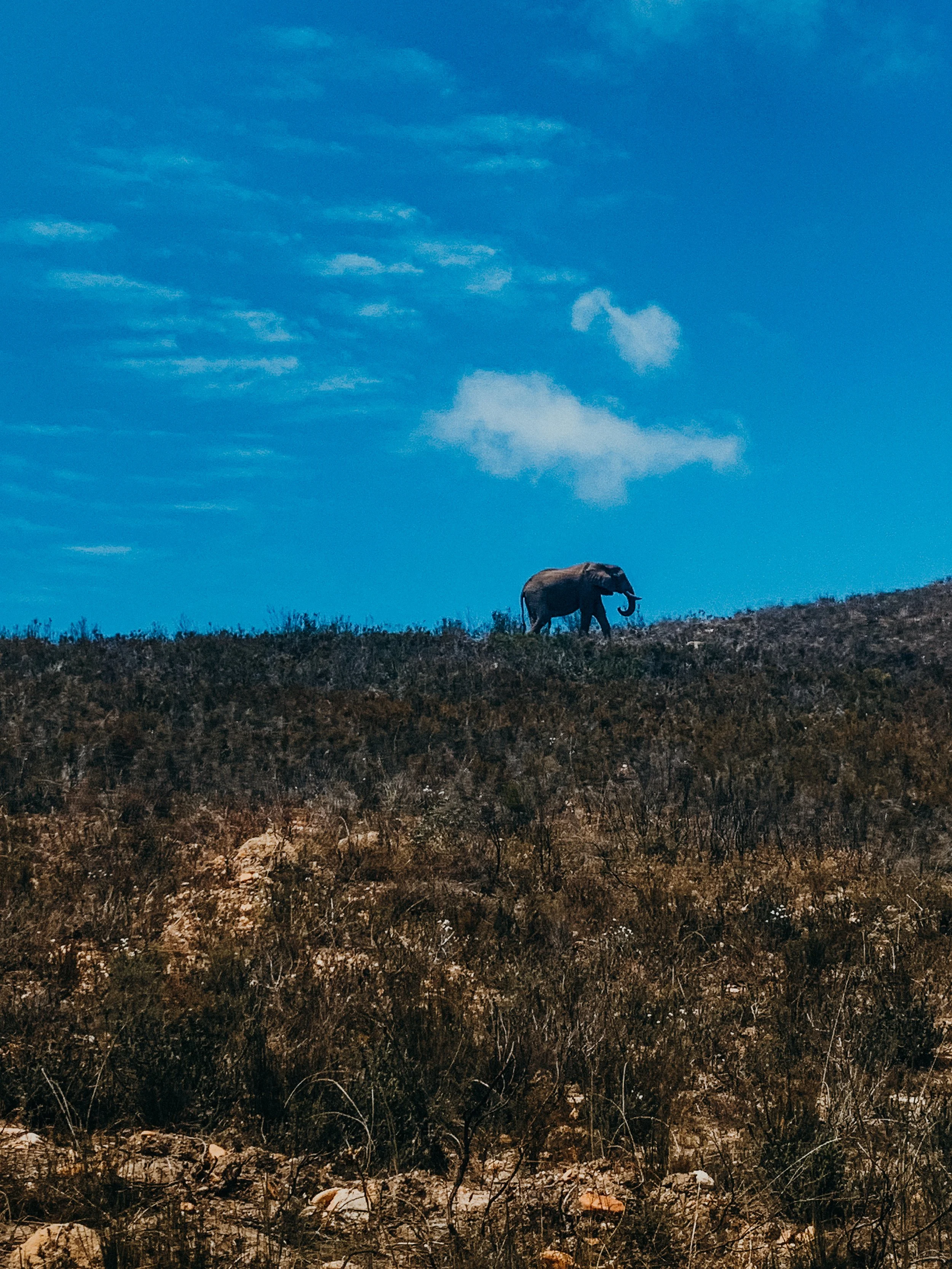 yogakasha-impressionen-edited-by-anne caspar-643.jpg