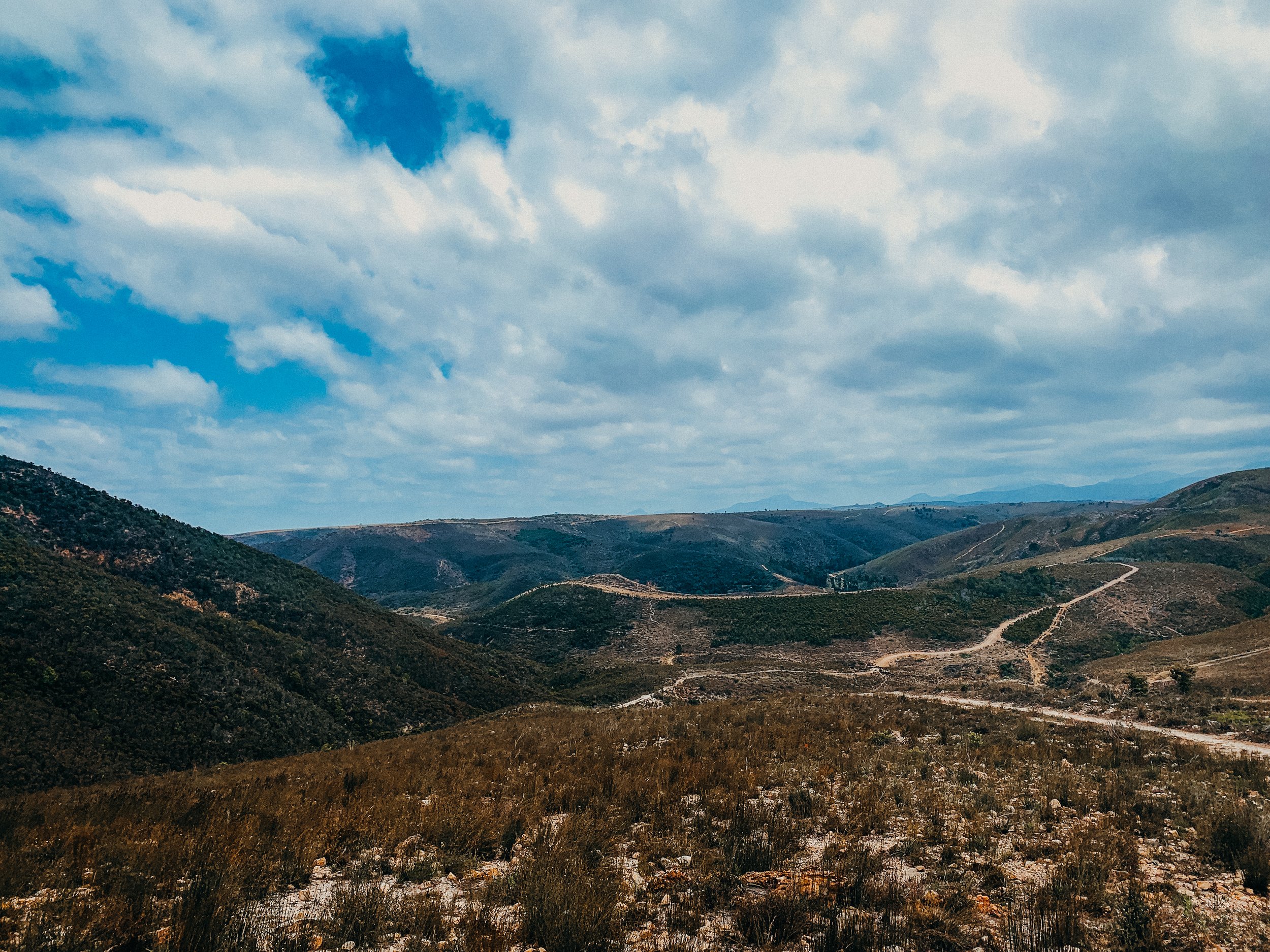 yogakasha-impressionen-edited-by-anne caspar-648.jpg