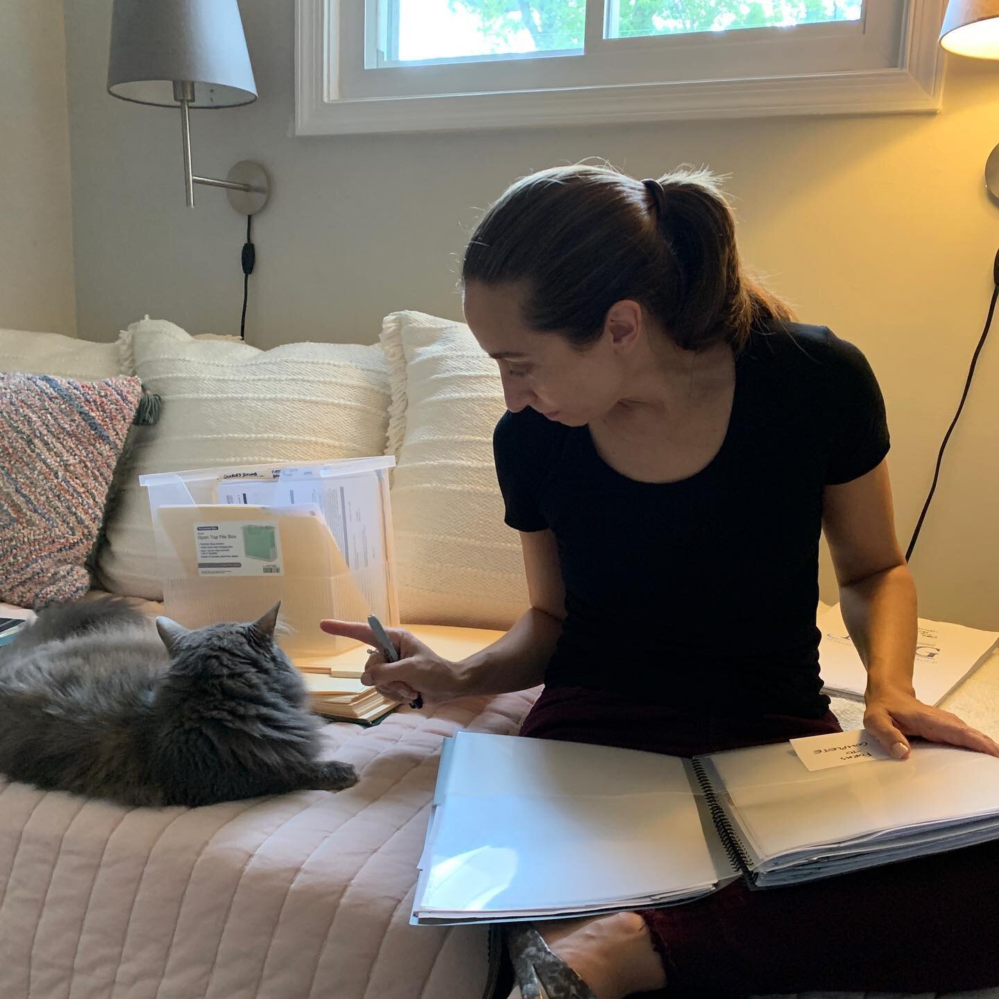 I ❤️ organizing paper and I ❤️ cats and sometimes the two come together! My client today was a fellow #crazycatlady and captured this precious moment. 

#organizing#napopro#silverspring#decluttering#decluttering#paperorganization#paperorganizing