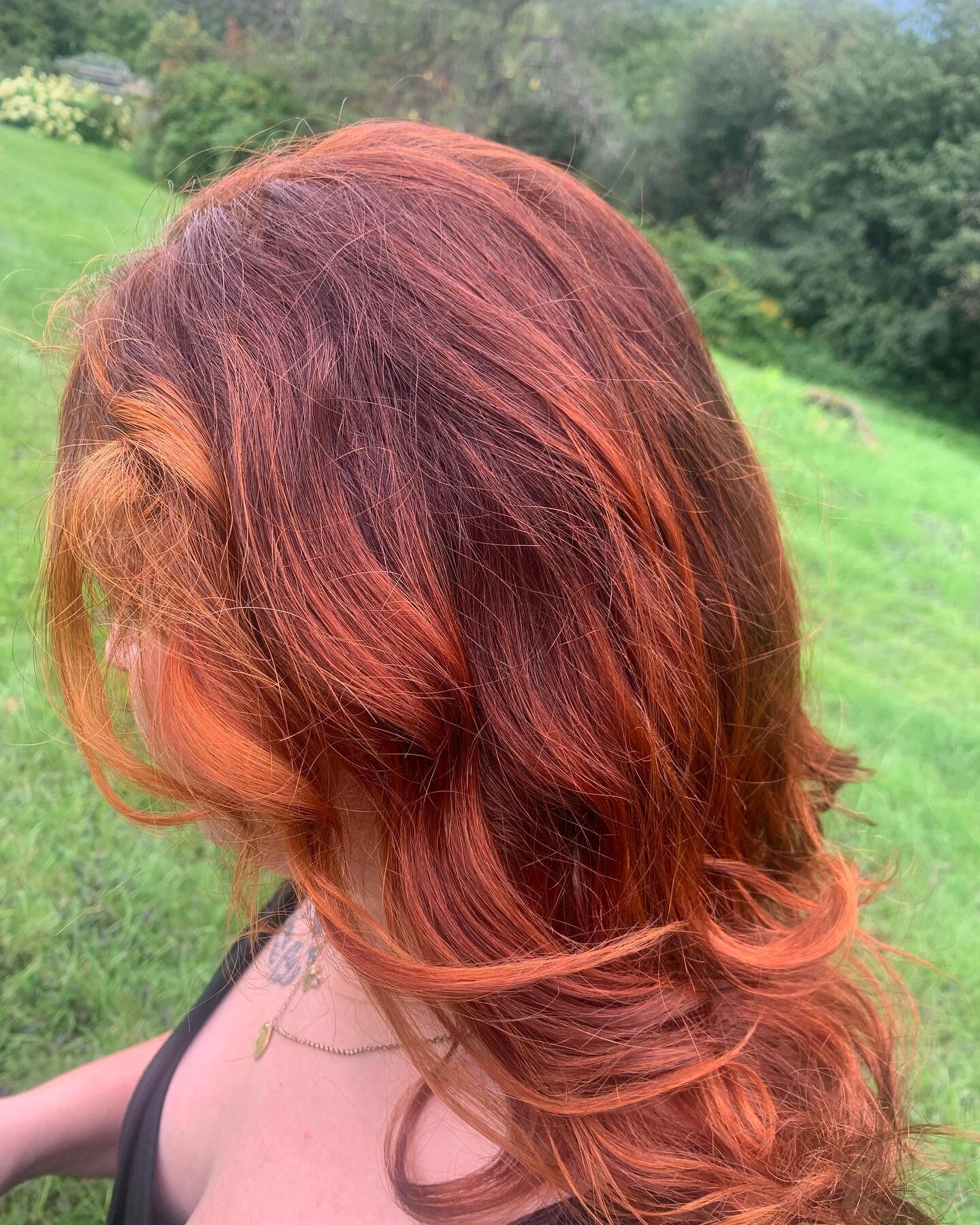 My beautiful friend and client graciously let me snap this picture of her herbal hair color in the wild today and I just had to share it. This is a fresh henna, cassia, calendula, hibiscus, rose and aloe wrap that we did yesterday in the salon. The c