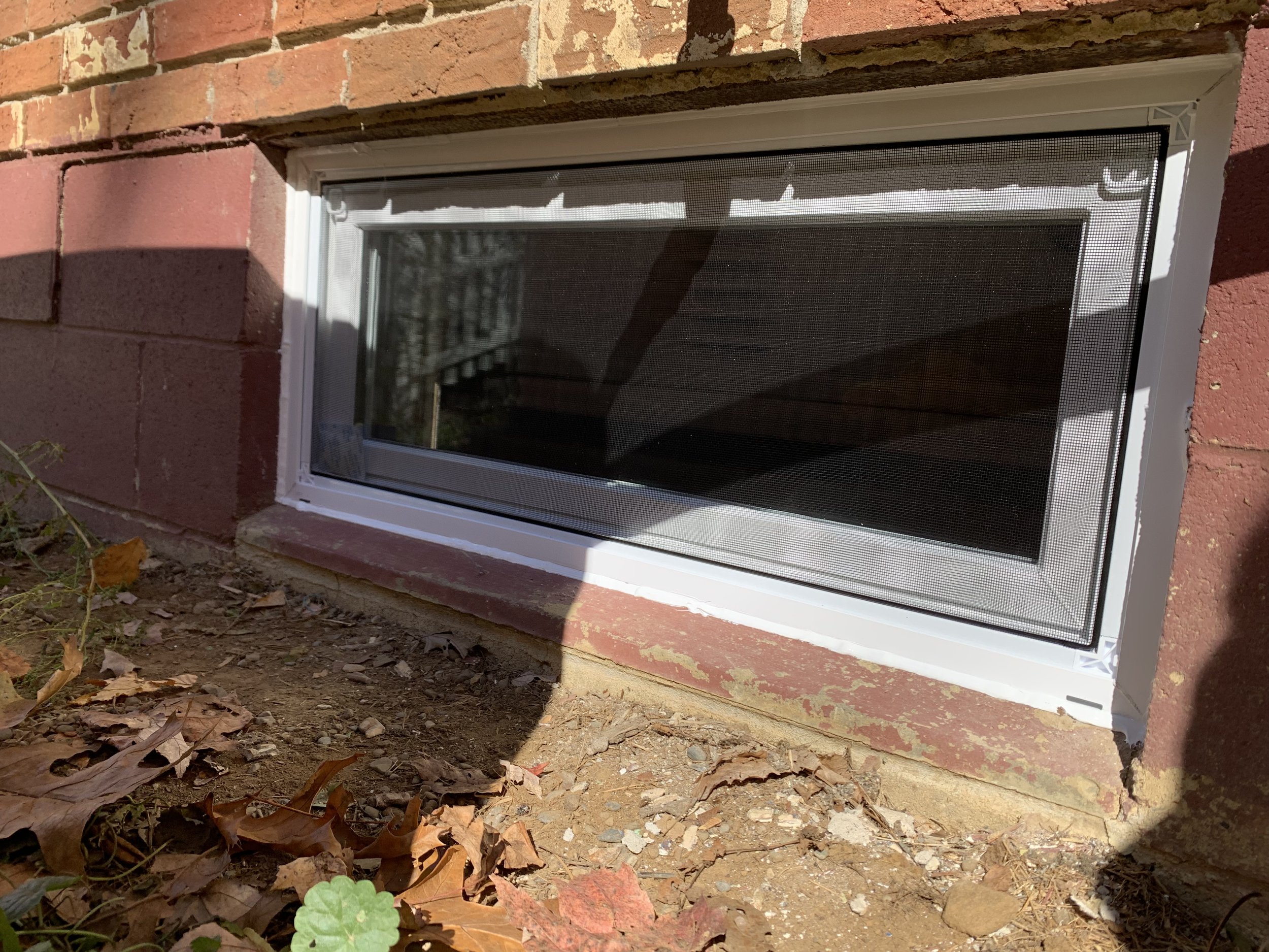 Basement Repairs
